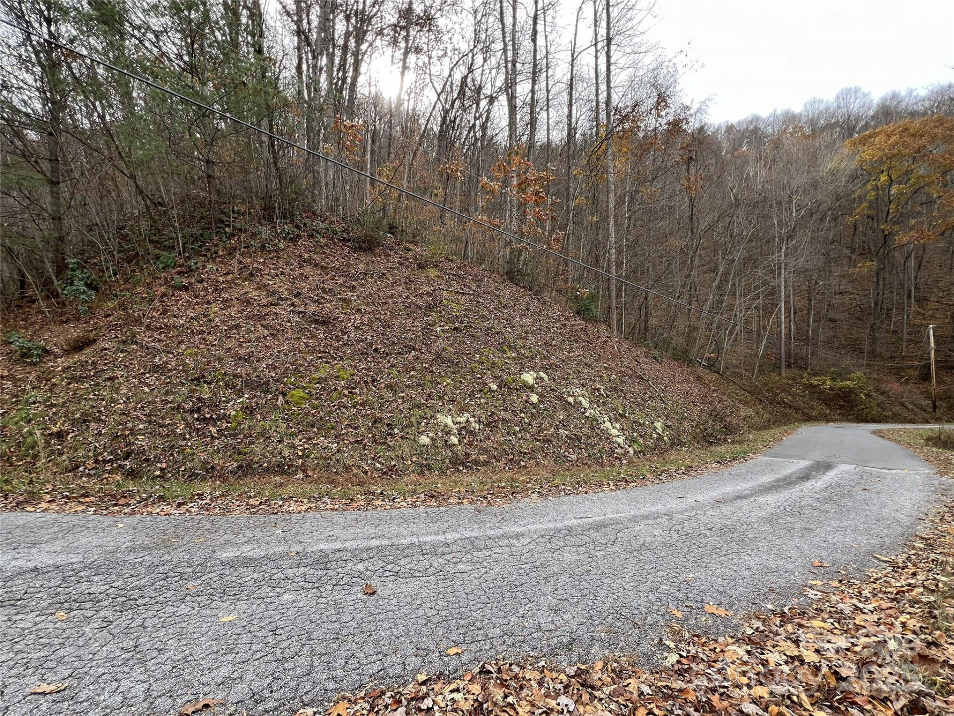 Lot 7 Deer Ridge Road - Photo 2