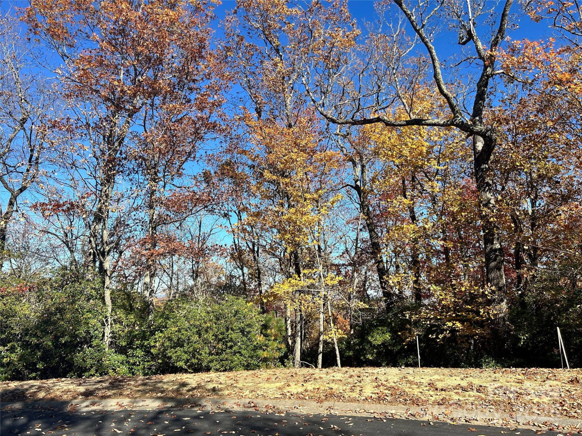 1114 Mills River Way - Photo 2