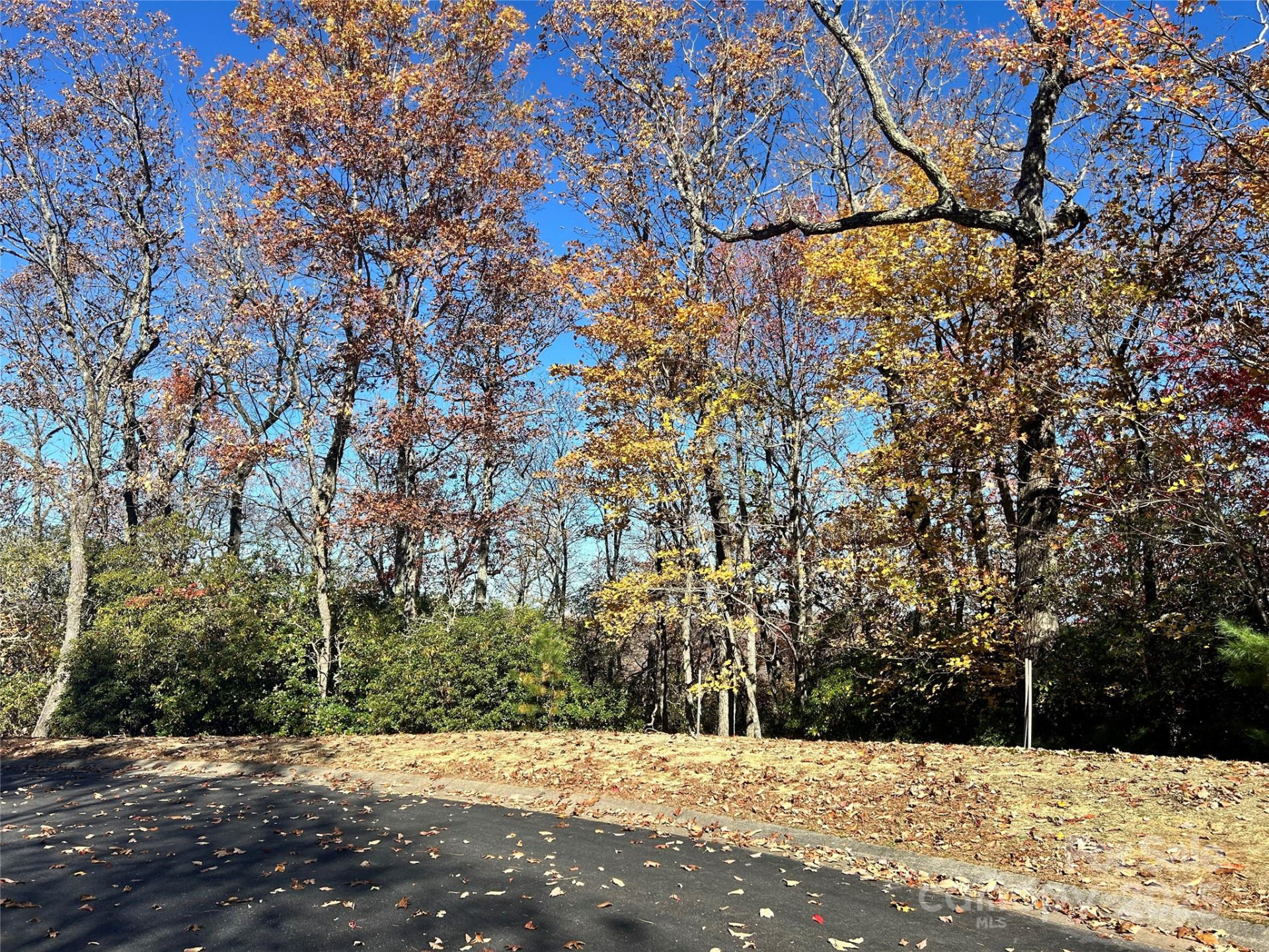 1114 Mills River Way - Photo 3