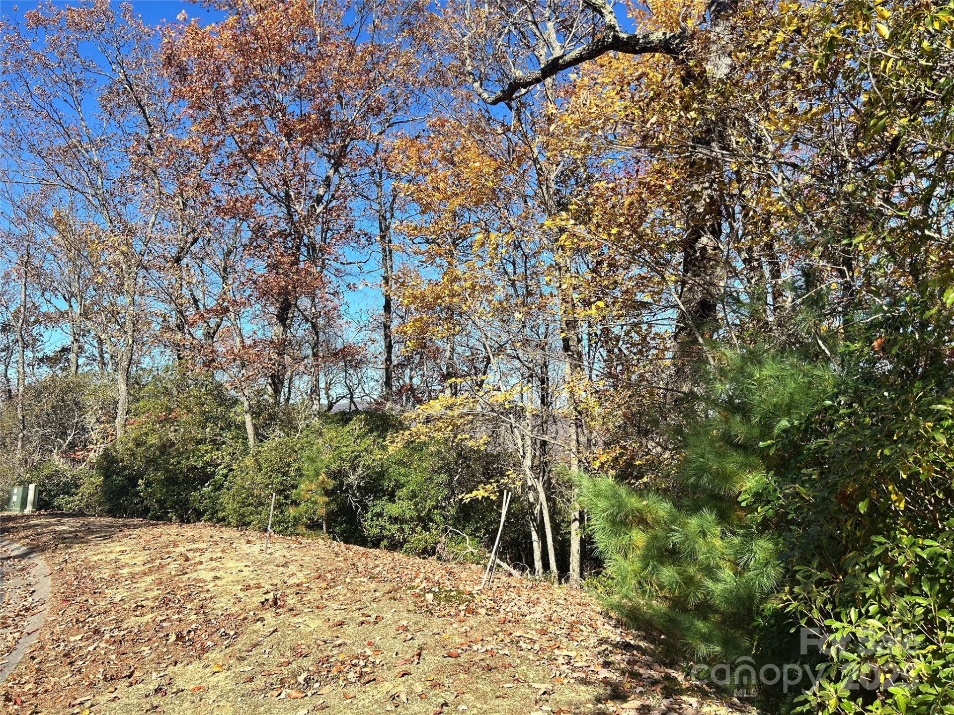 1114 Mills River Way - Photo 4