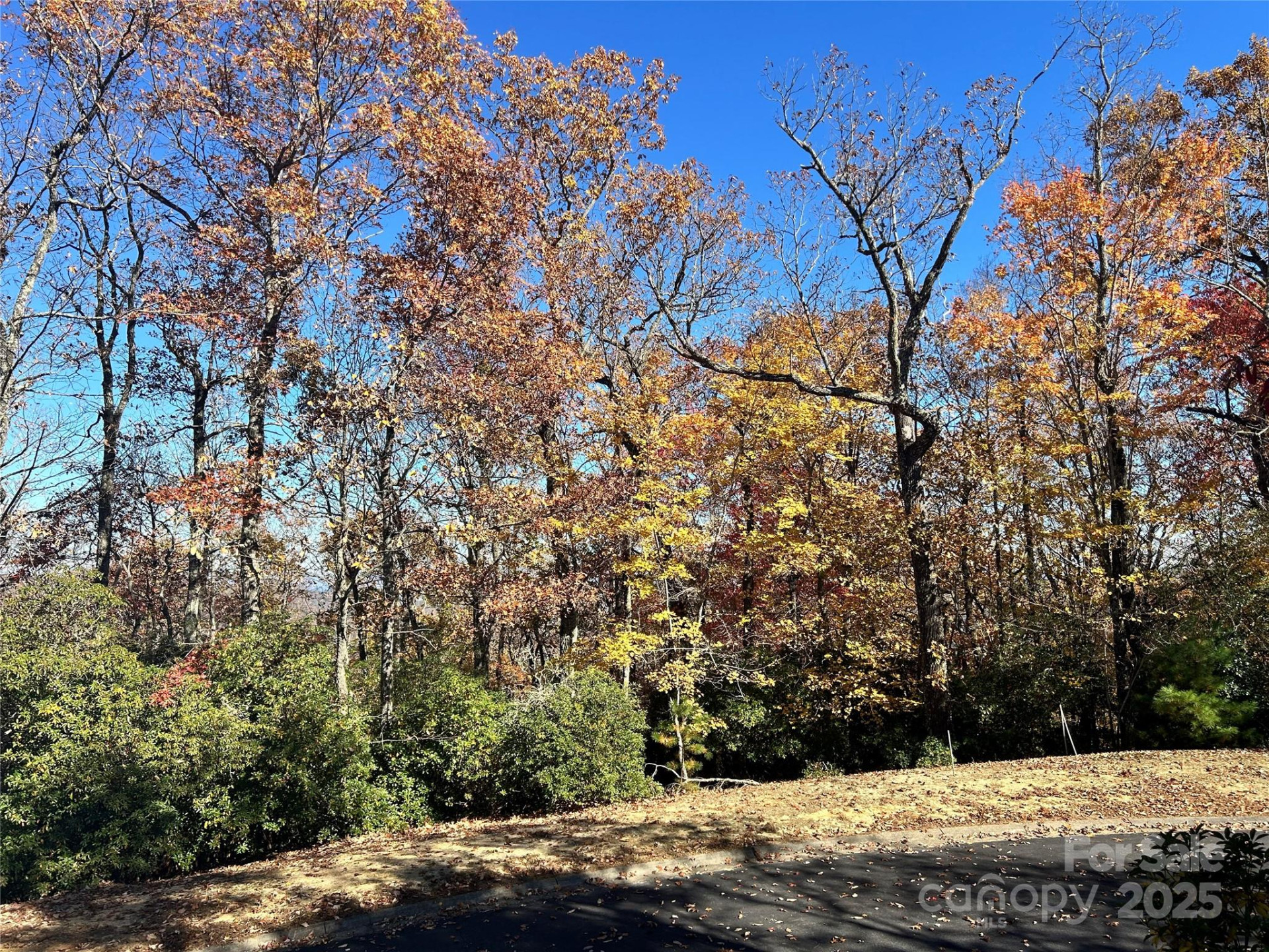 1114 Mills River Way - Photo 6