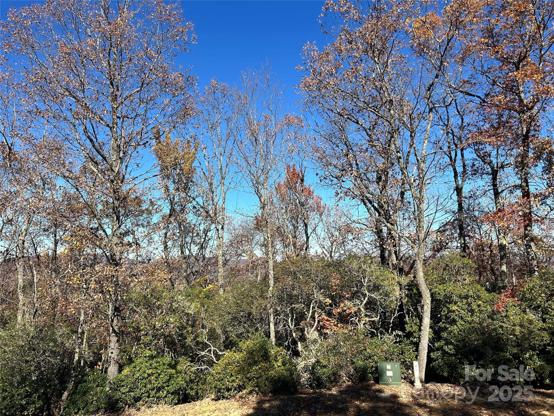 1114 Mills River Way - Photo 7