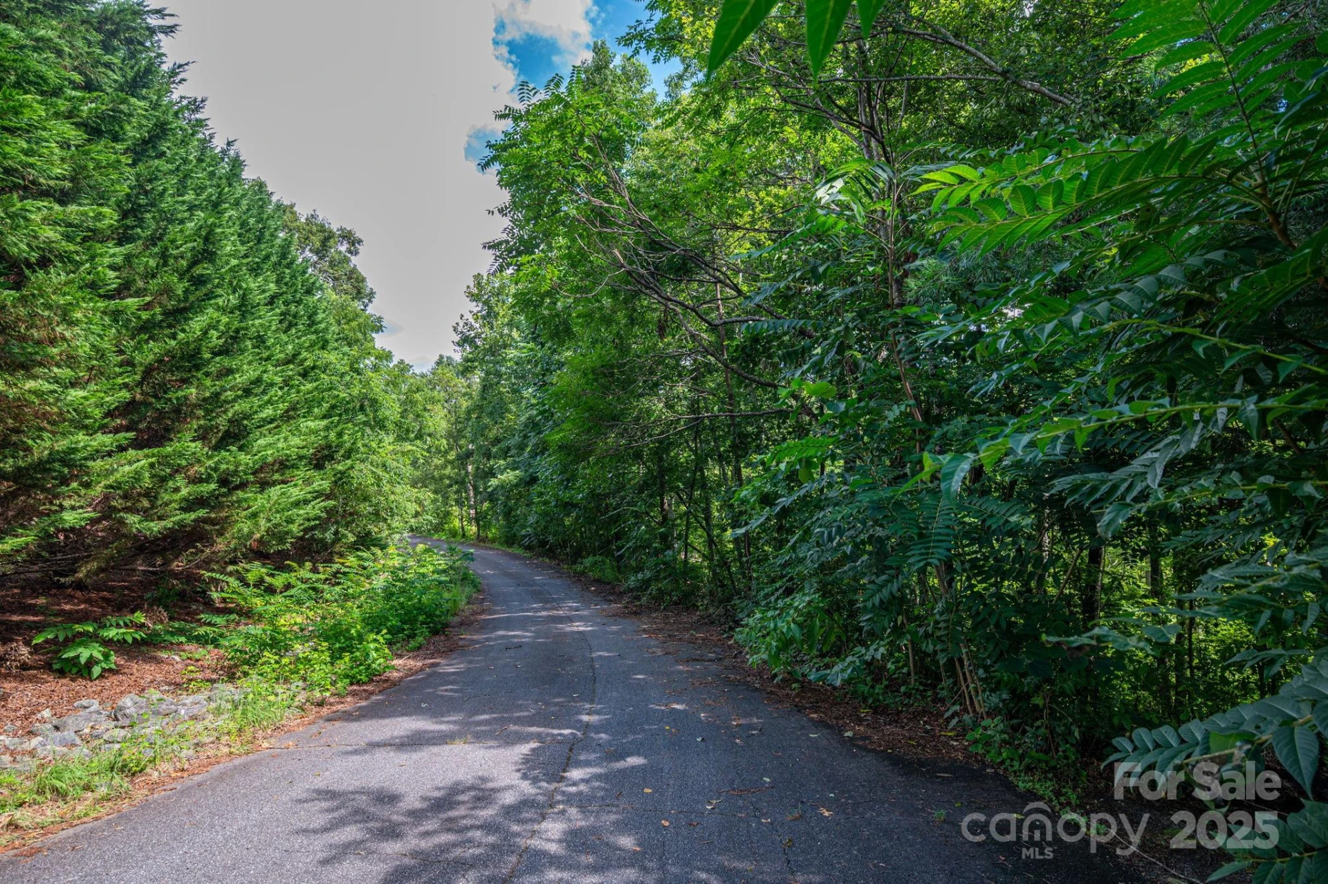 Lot 35 Line Drive - Photo 3