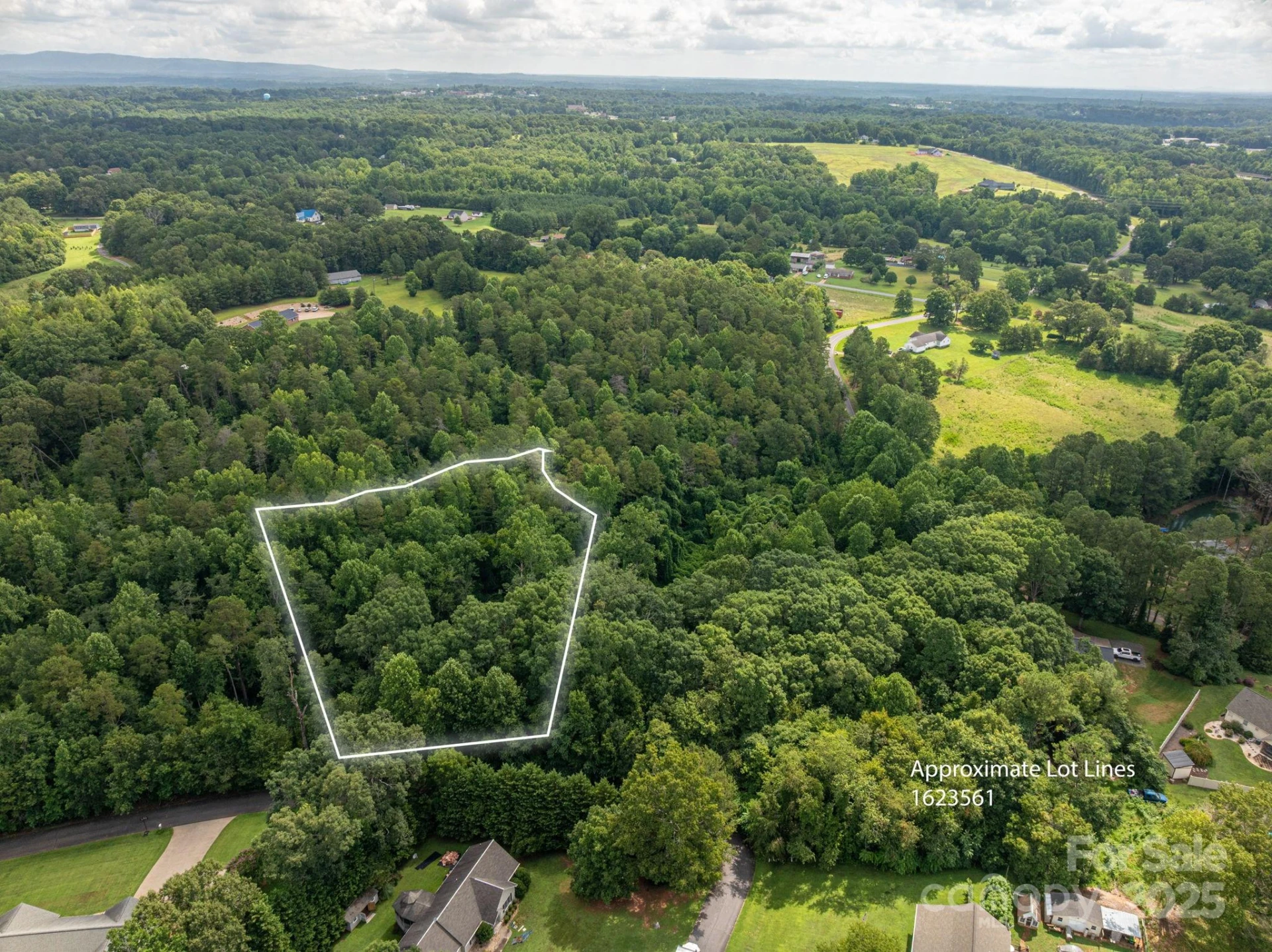 Lot 35 Line Drive - Photo 4