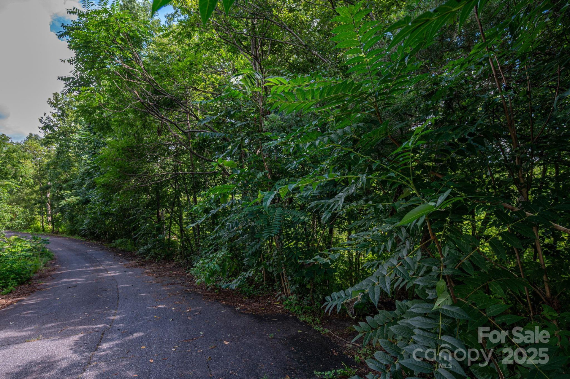 Lot 35 Line Drive - Photo 7