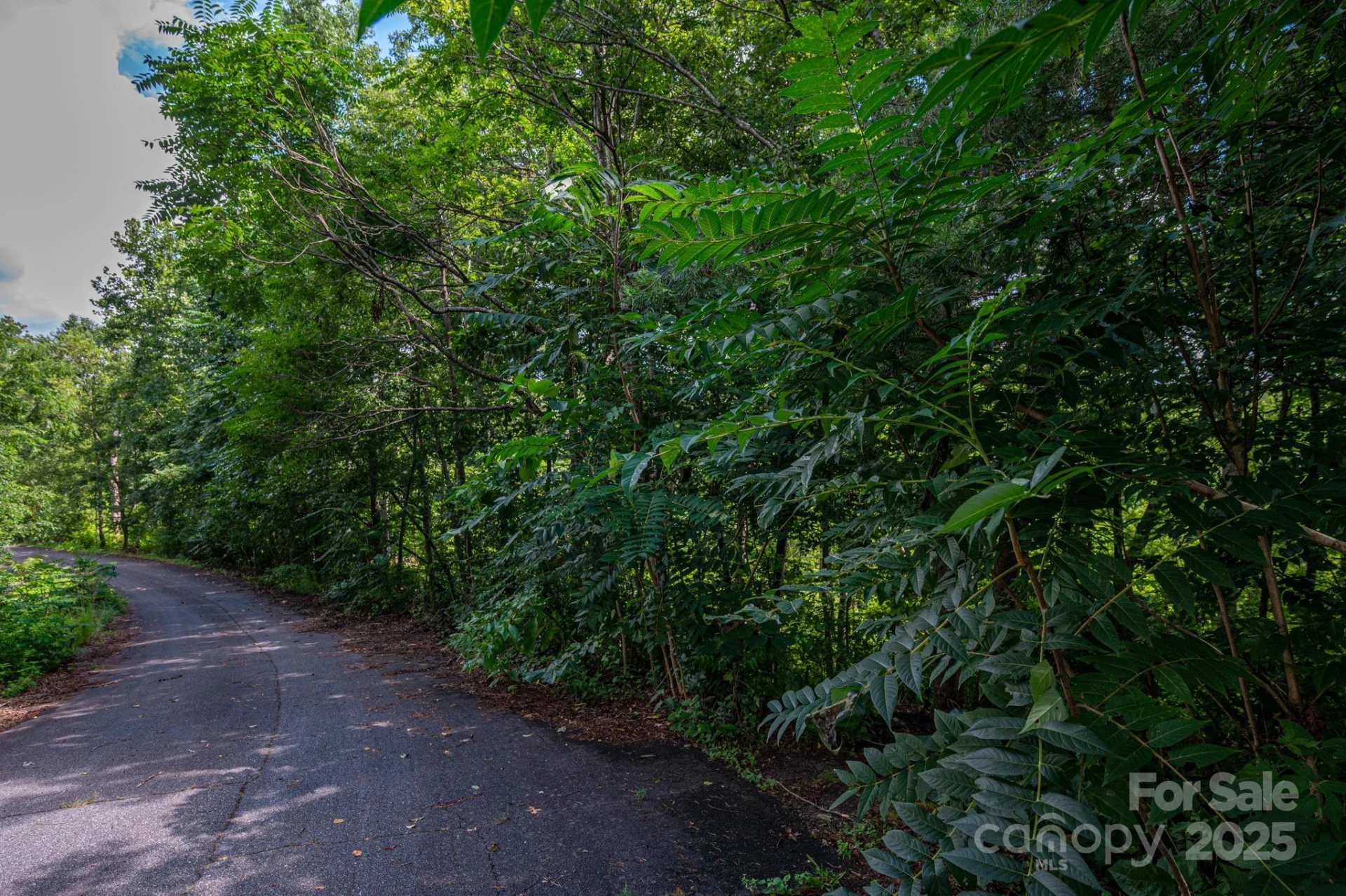 Lot 35 Line Drive - Photo 7