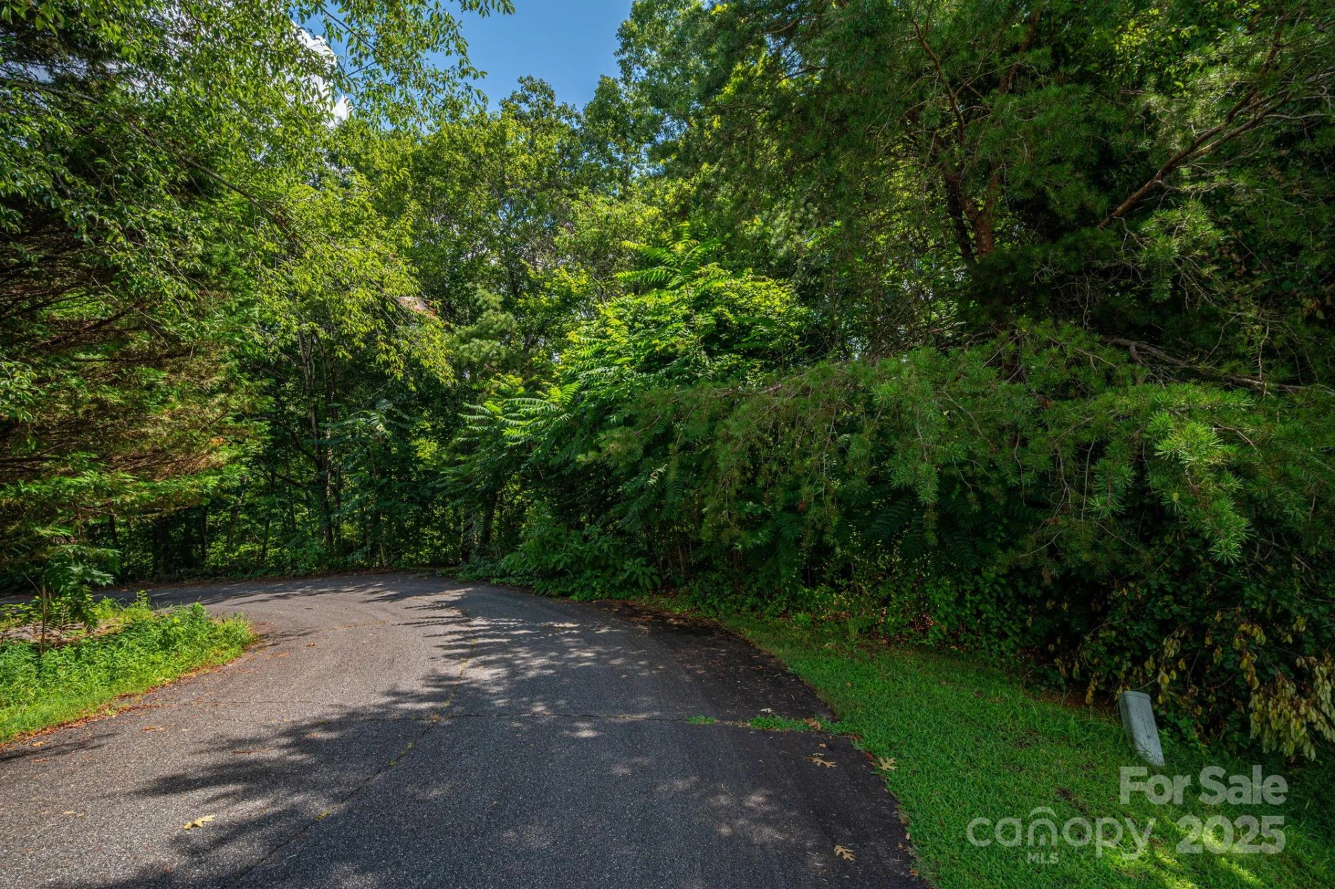 Lot 35 Line Drive - Photo 8