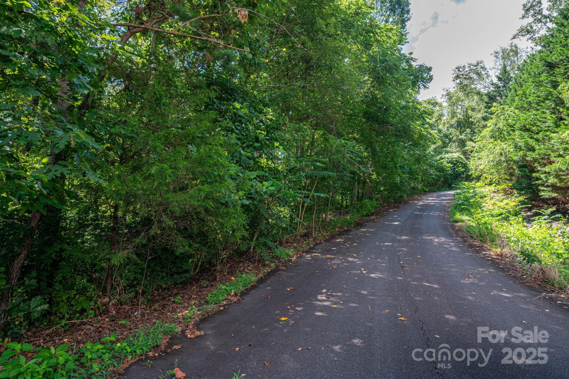 Lot 35 Line Drive - Photo 10