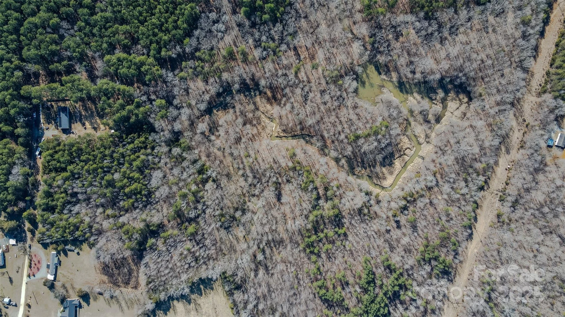 0 Haith Fuller Trail - Photo 7