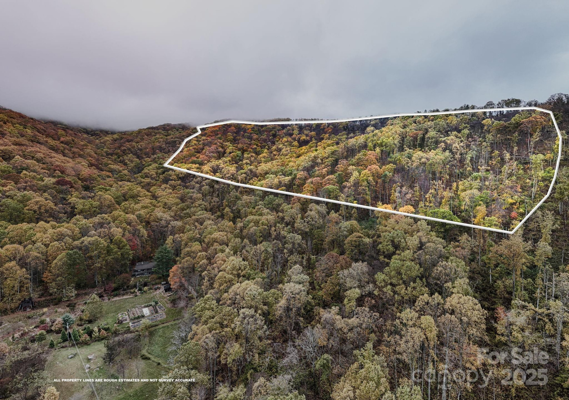 00 Ox Creek Road - Photo 2