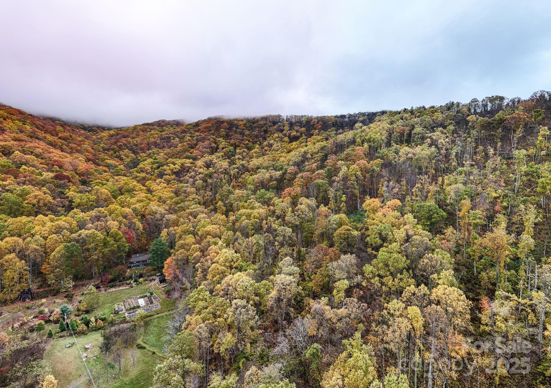 00 Ox Creek Road - Photo 3