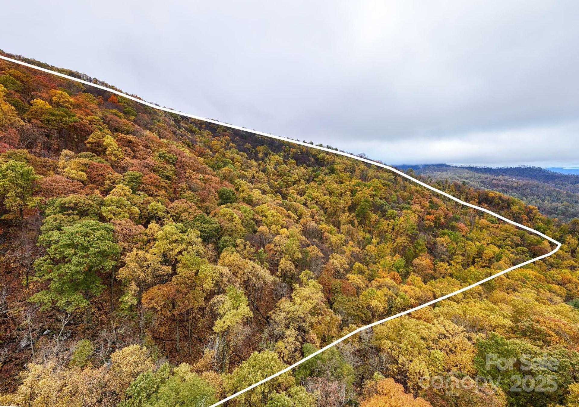 00 Ox Creek Road - Photo 5