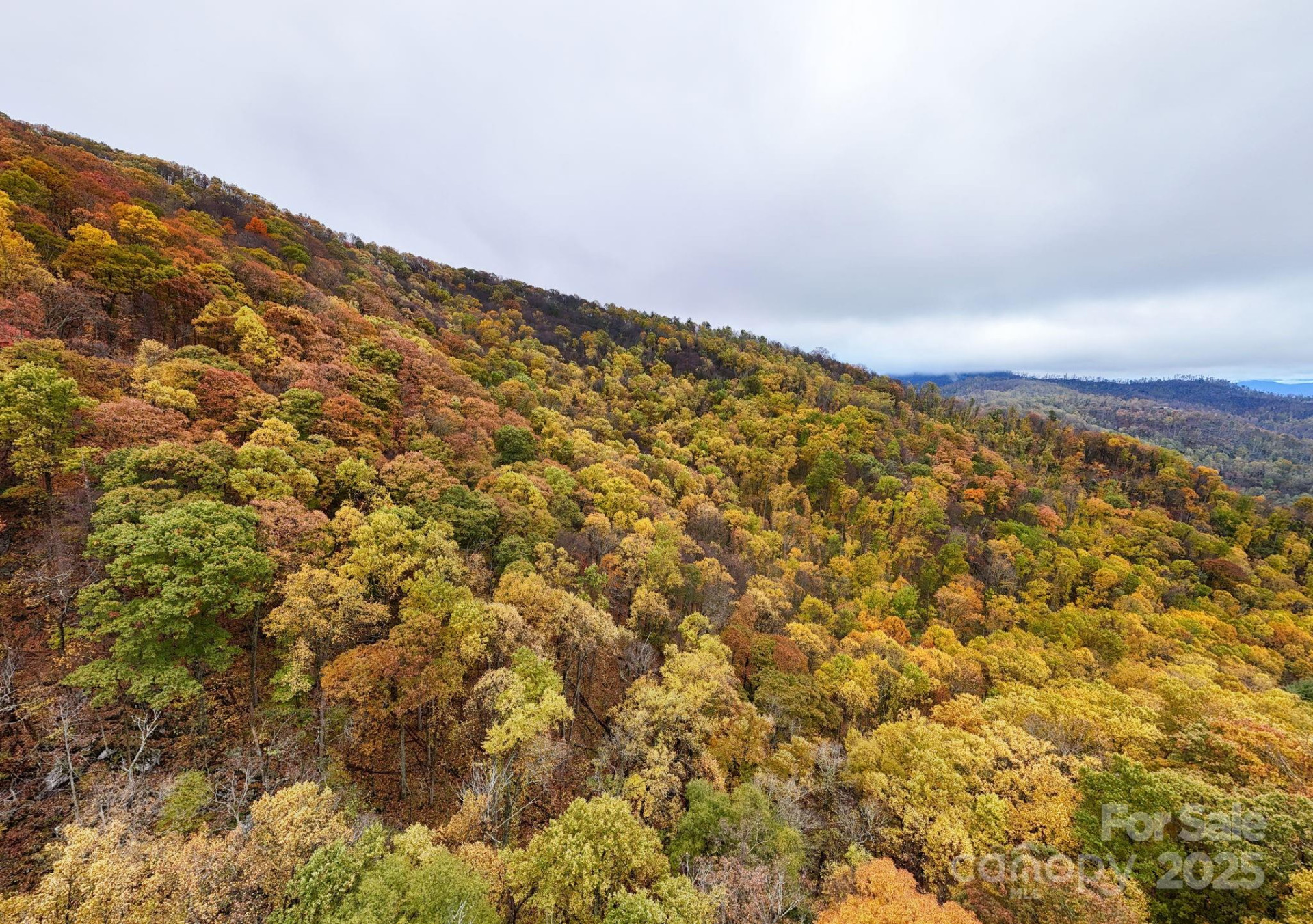 00 Ox Creek Road - Photo 6