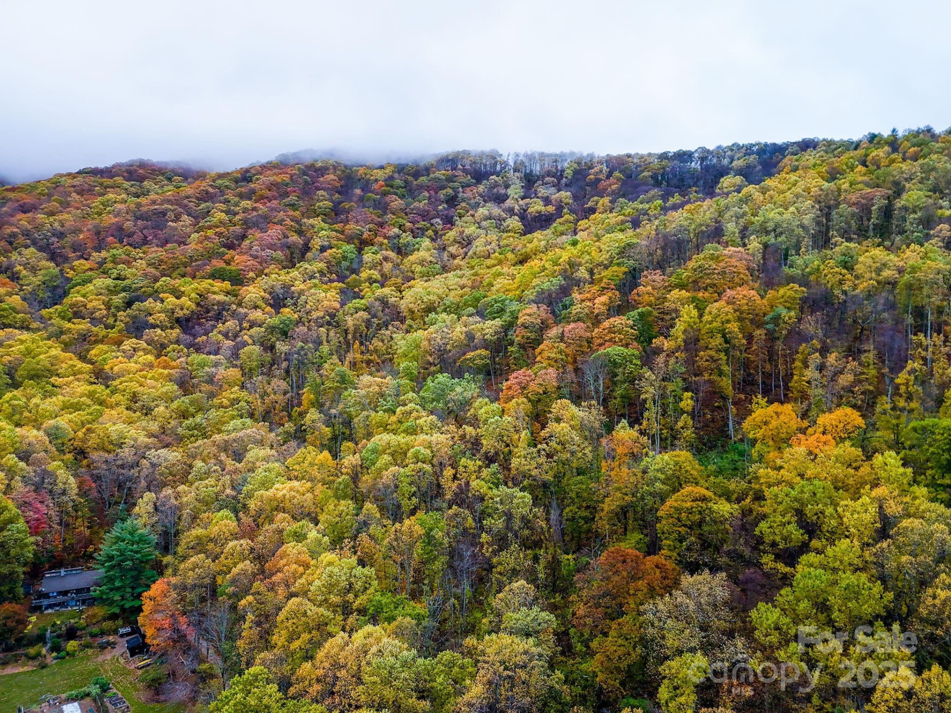 00 Ox Creek Road - Photo 7