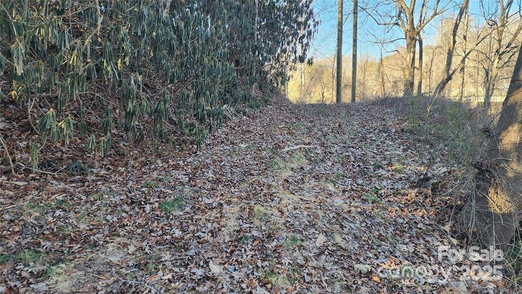 4 Coke Candler Lane - Photo 2