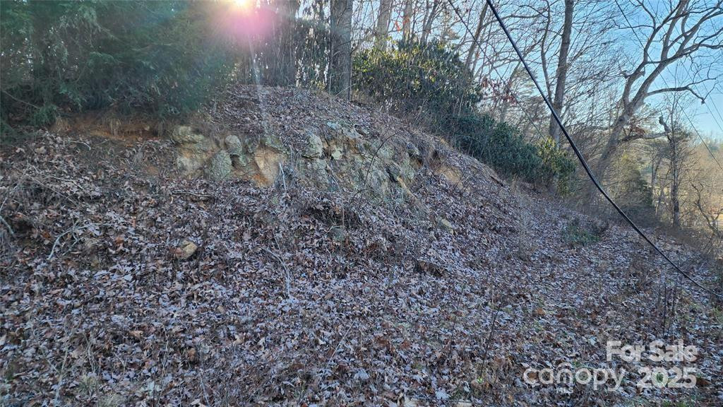 4 Coke Candler Lane - Photo 3