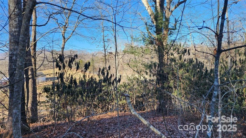 4 Coke Candler Lane - Photo 4