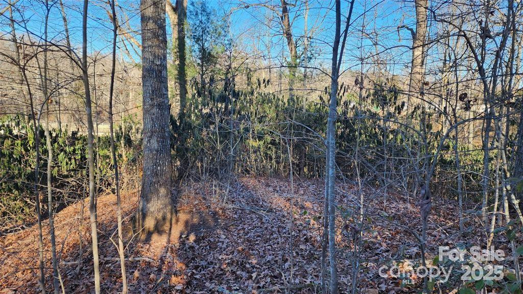 4 Coke Candler Lane - Photo 5