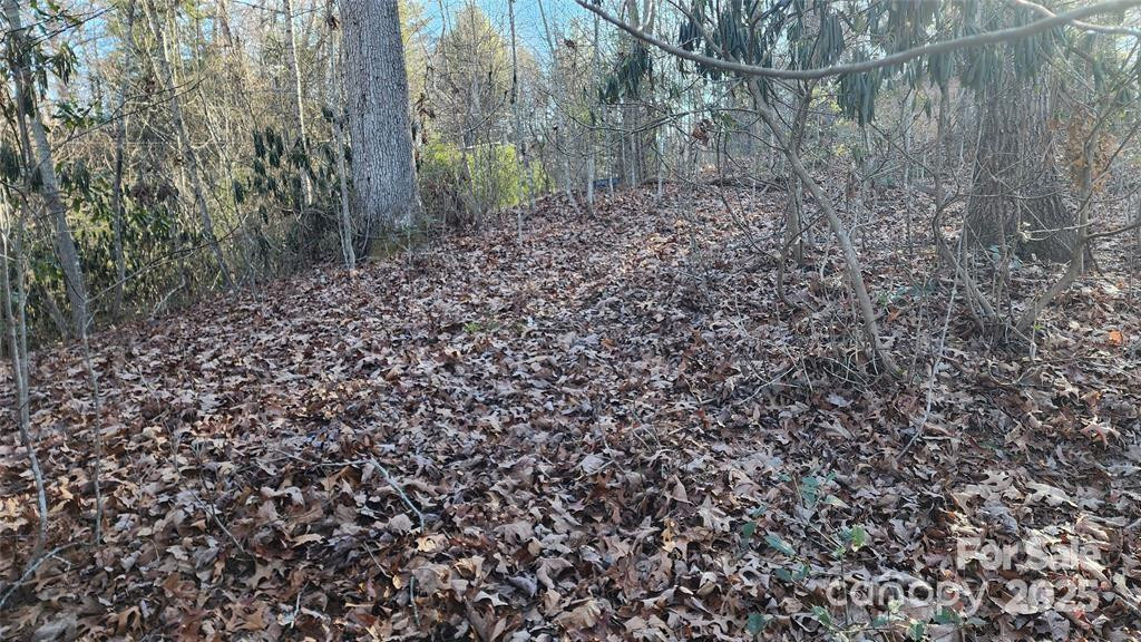4 Coke Candler Lane - Photo 6