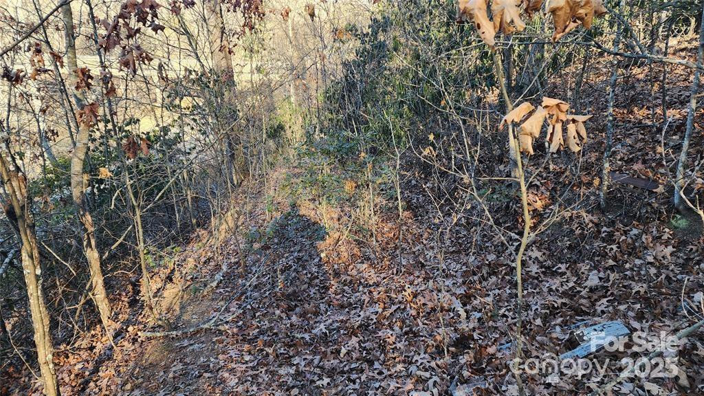 4 Coke Candler Lane - Photo 7