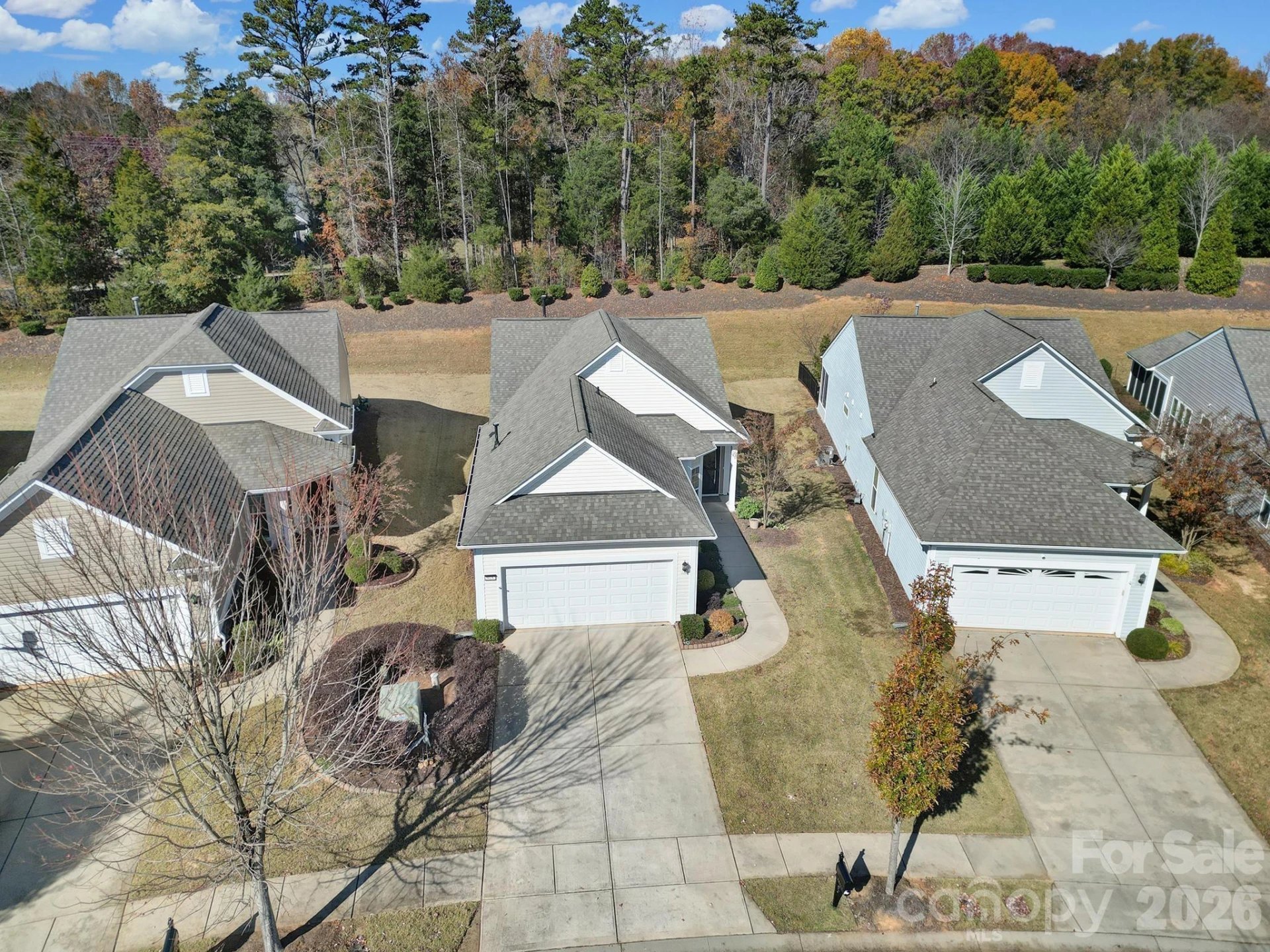 20257 Dovekie Lane - Photo 3