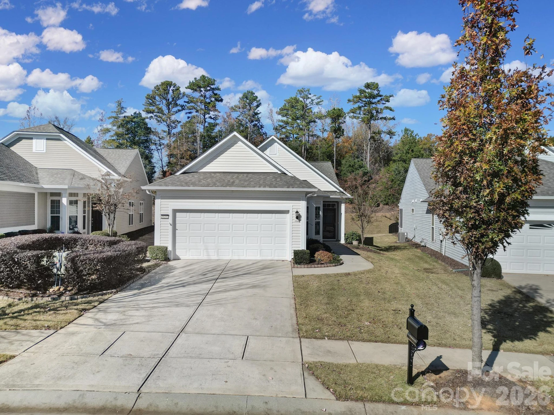 20257 Dovekie Lane - Photo 31