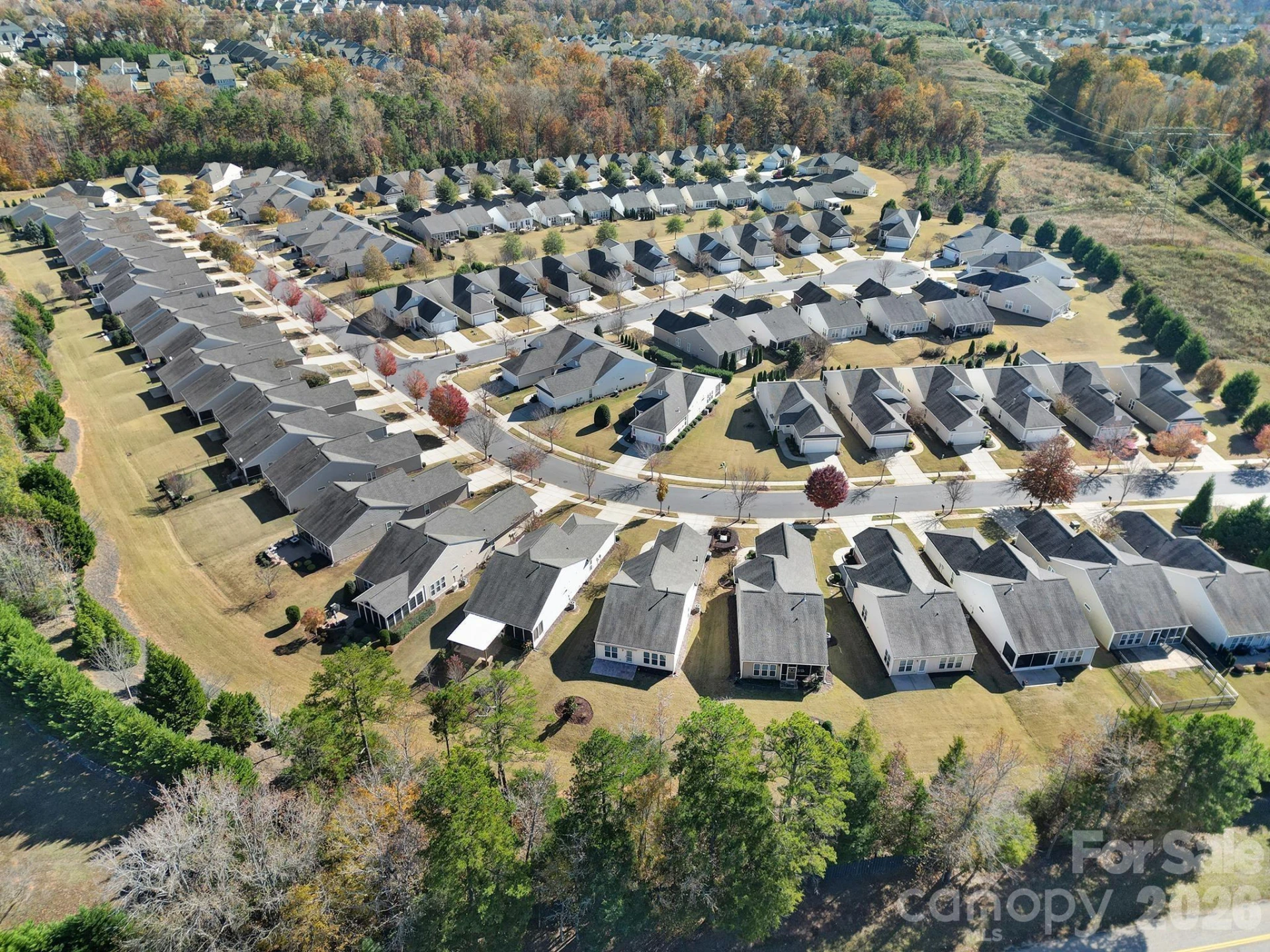 20257 Dovekie Lane - Photo 33