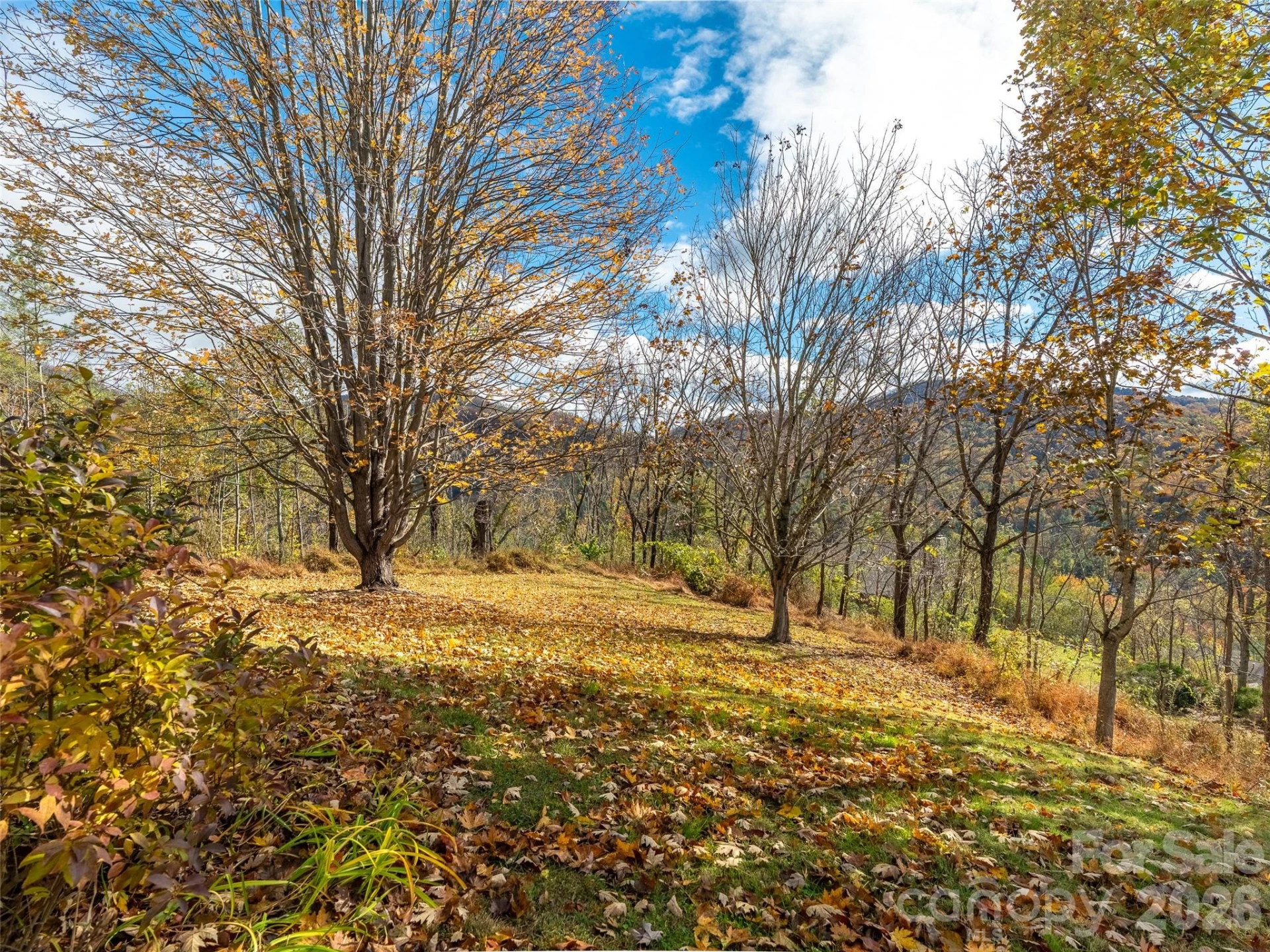 80 Stony Ridge - Photo 31