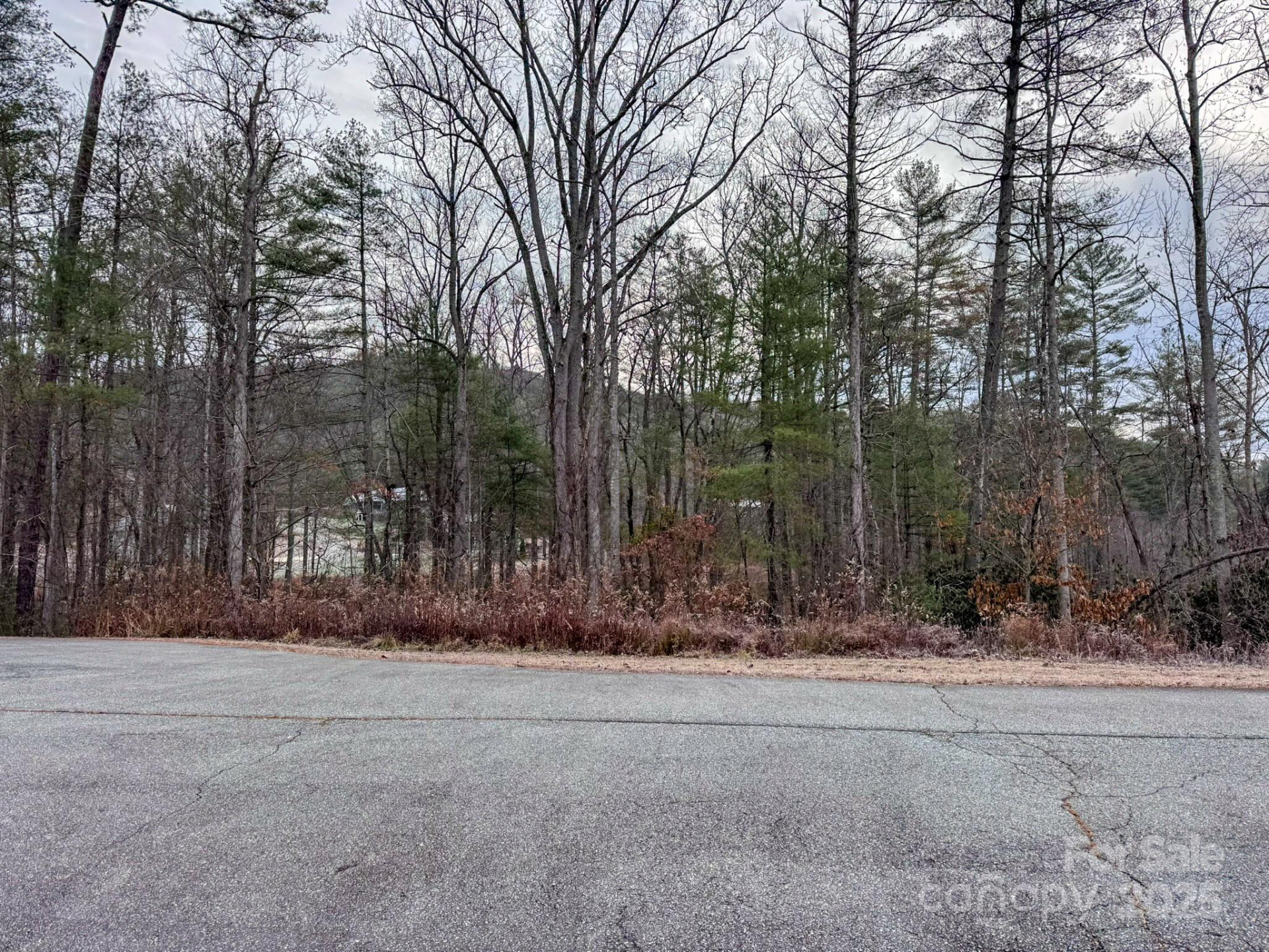 62 Crystal Cove Drive #4 - Photo 17