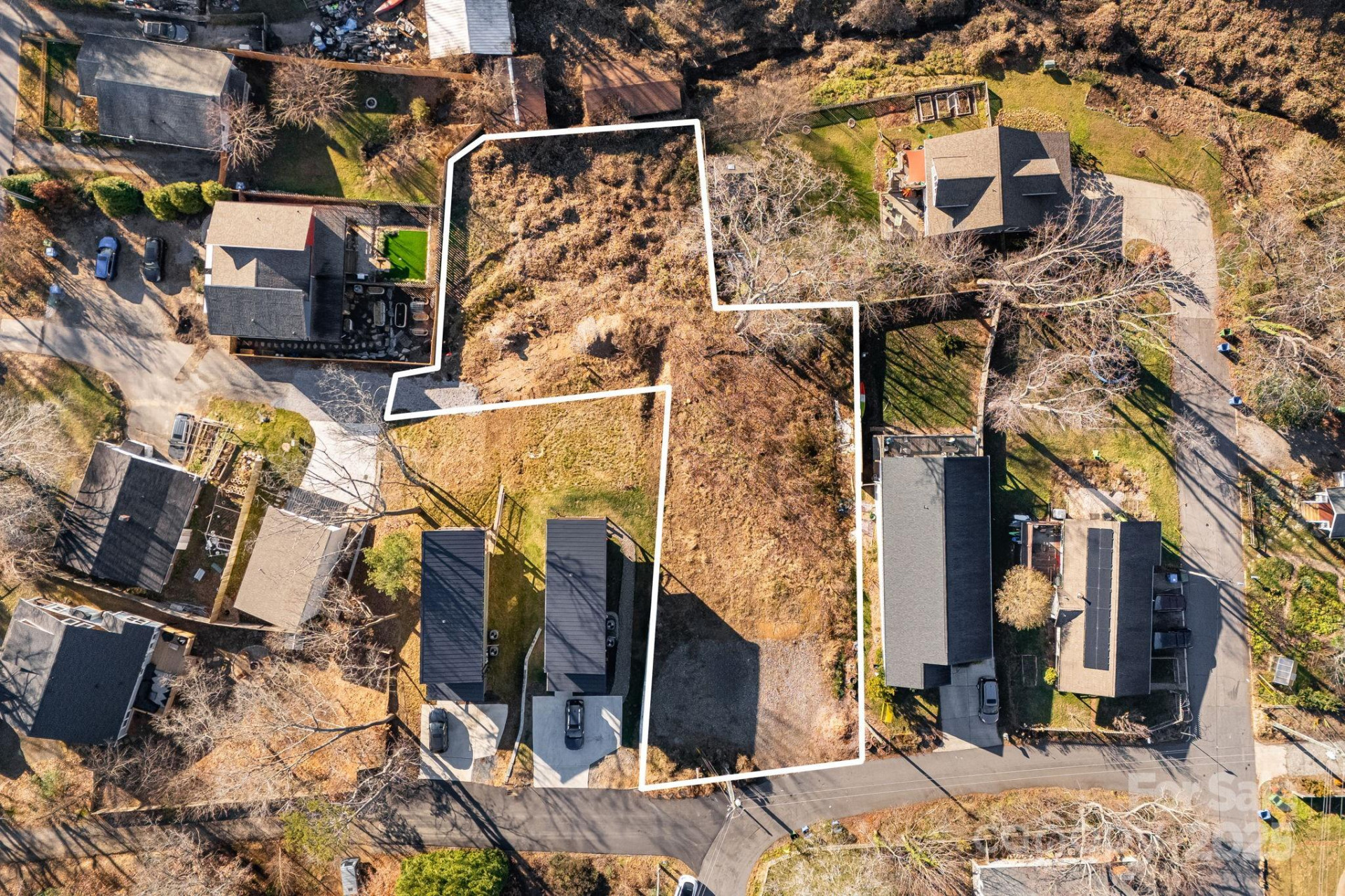 101 Arline Henry Way - Photo 2