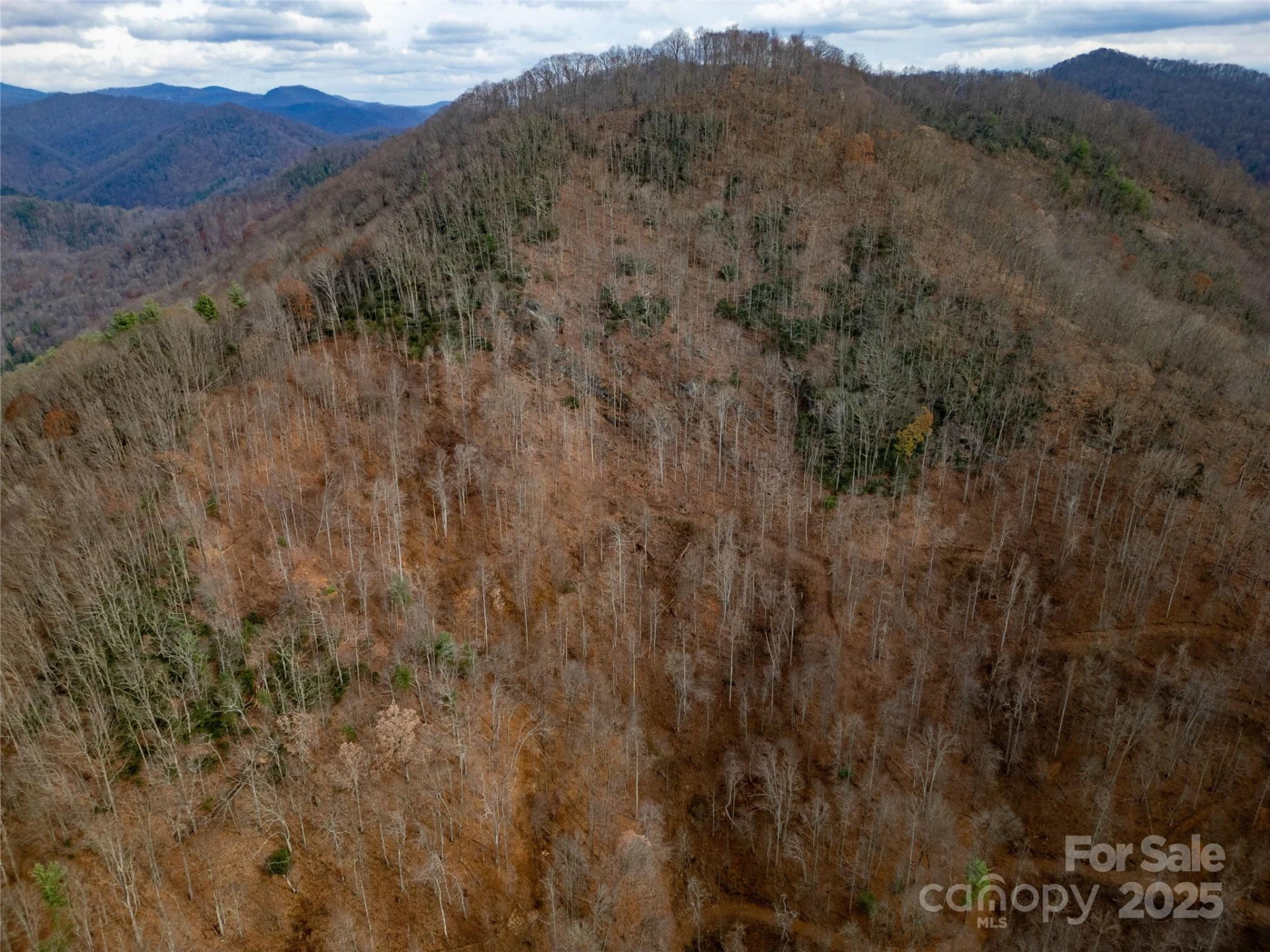 ### Grapevine Road - Photo 2