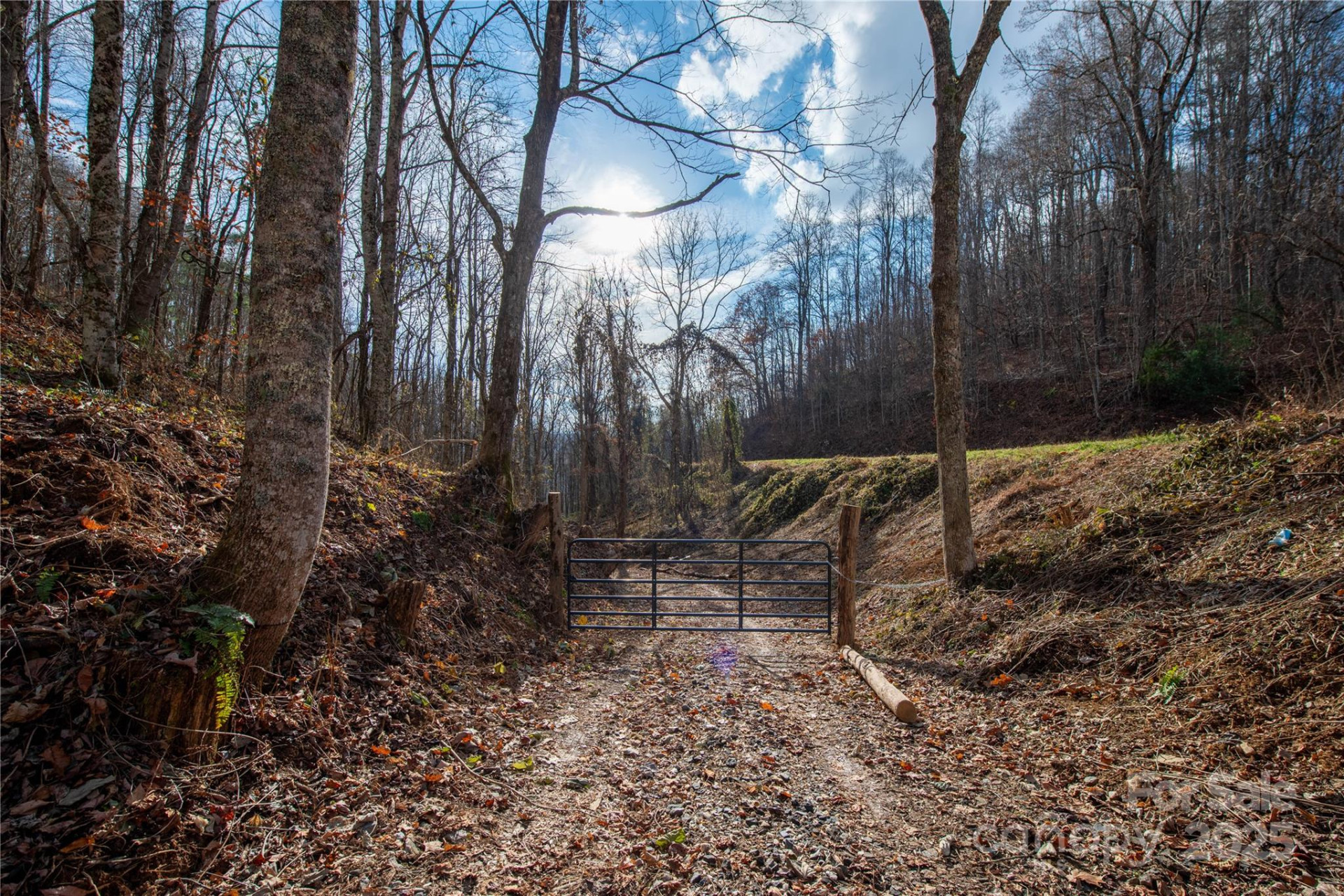 ### Grapevine Road - Photo 12