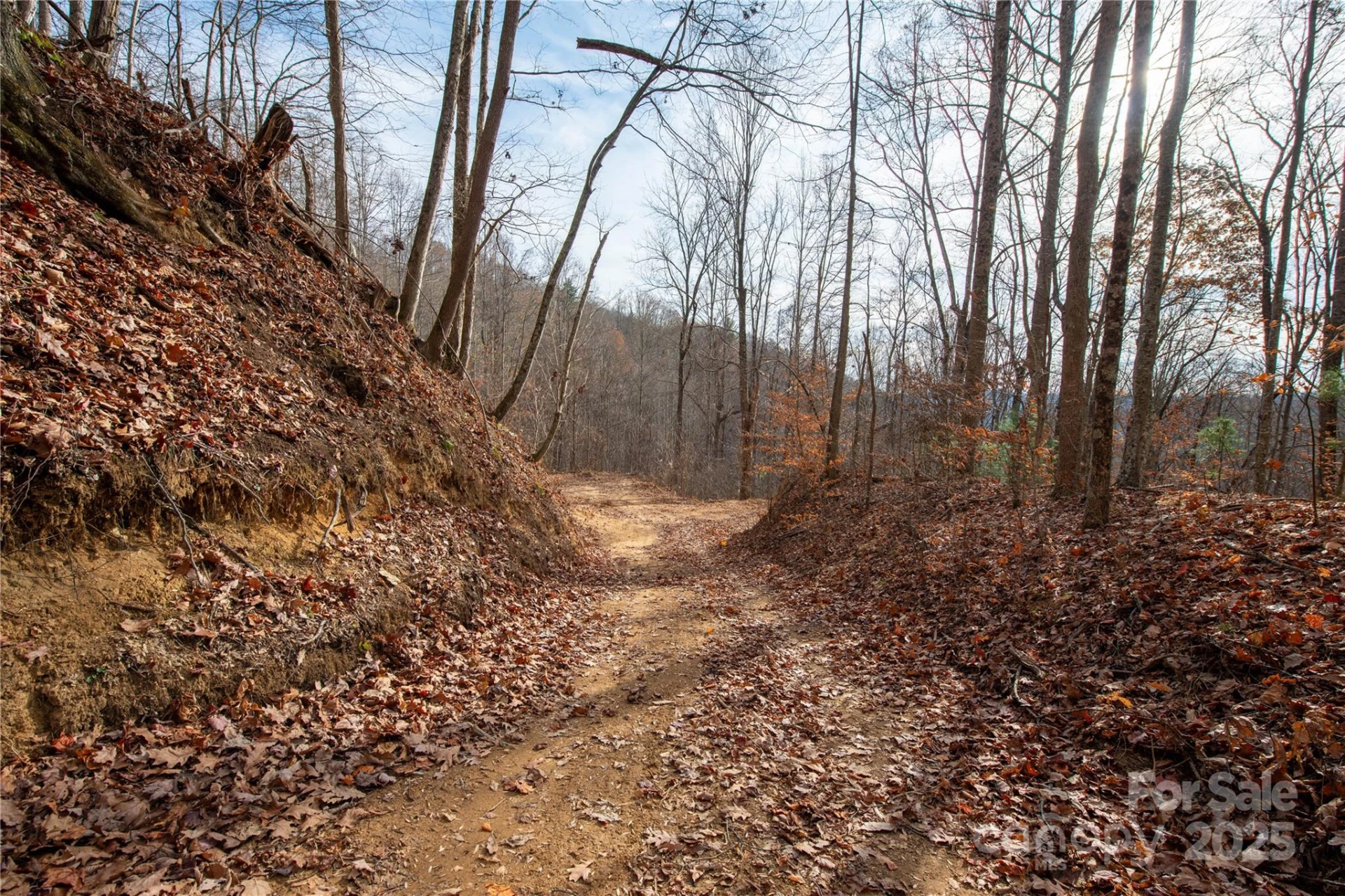### Grapevine Road - Photo 13