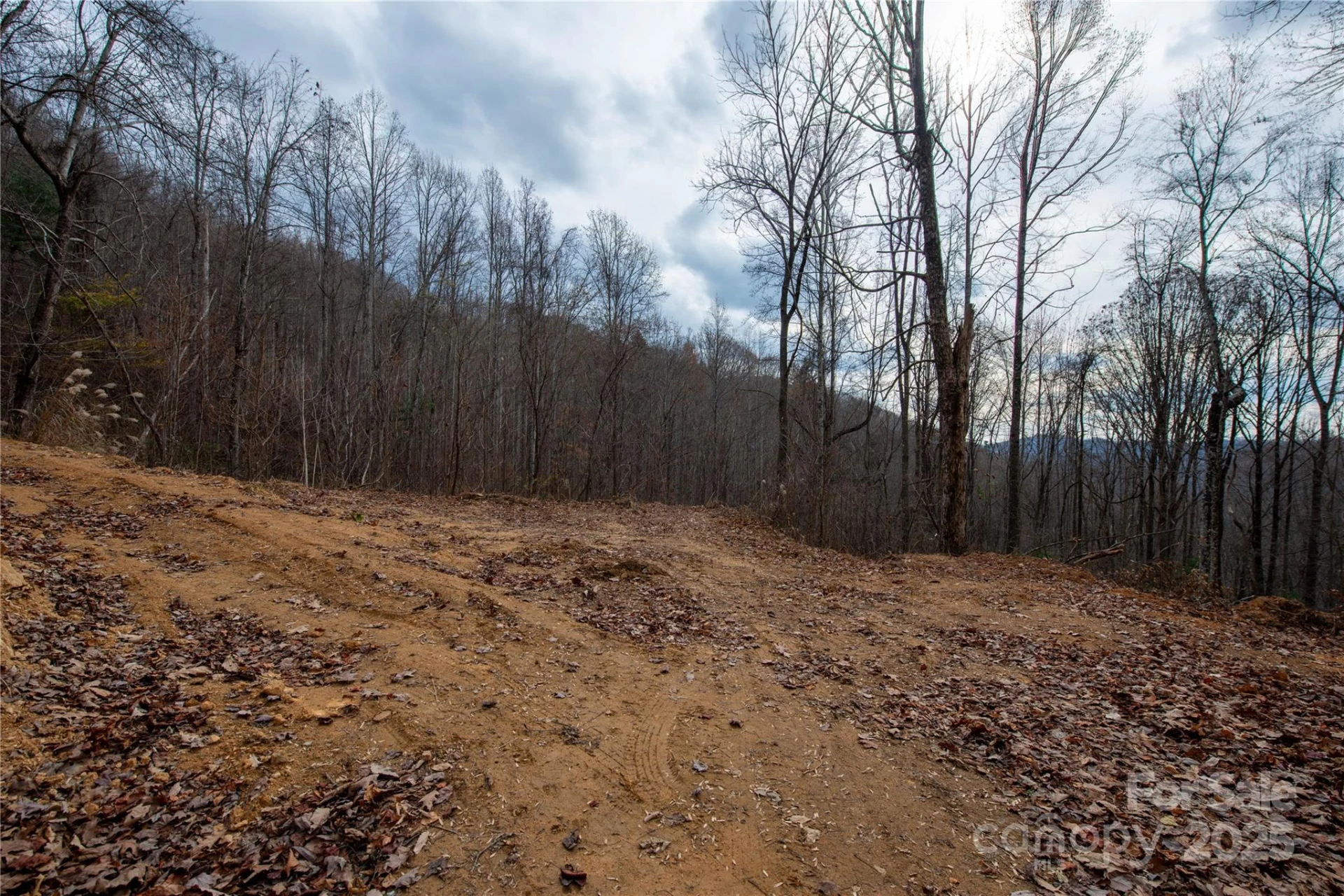 ### Grapevine Road - Photo 14