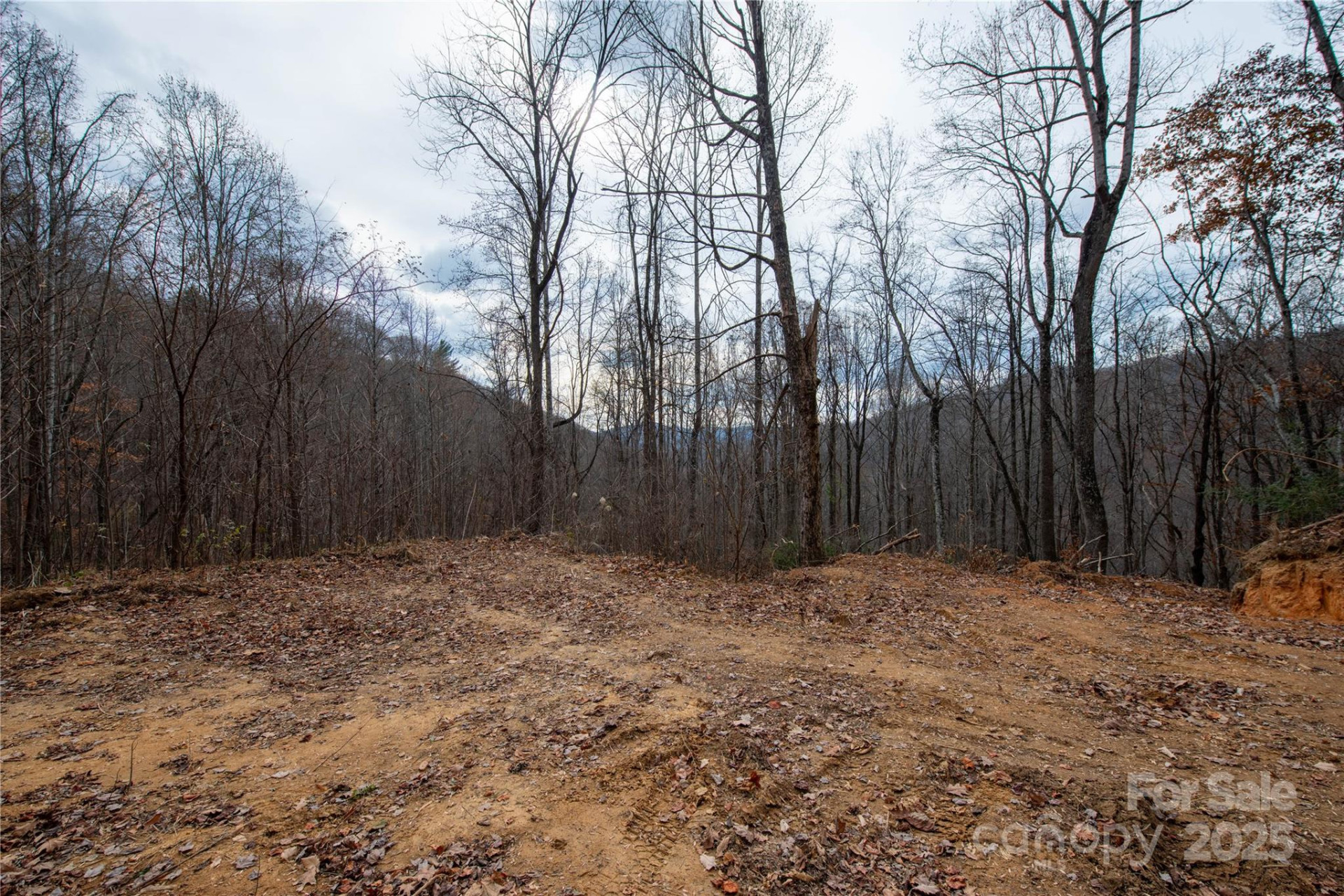 ### Grapevine Road - Photo 15