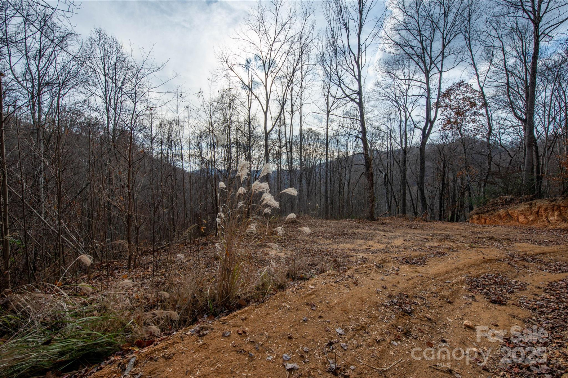 ### Grapevine Road - Photo 16