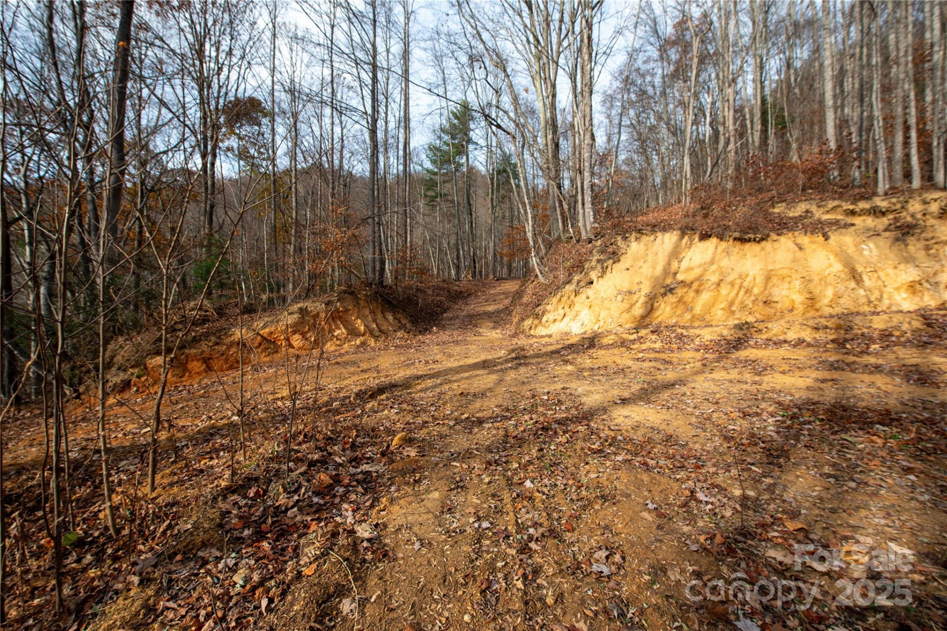 ### Grapevine Road - Photo 17