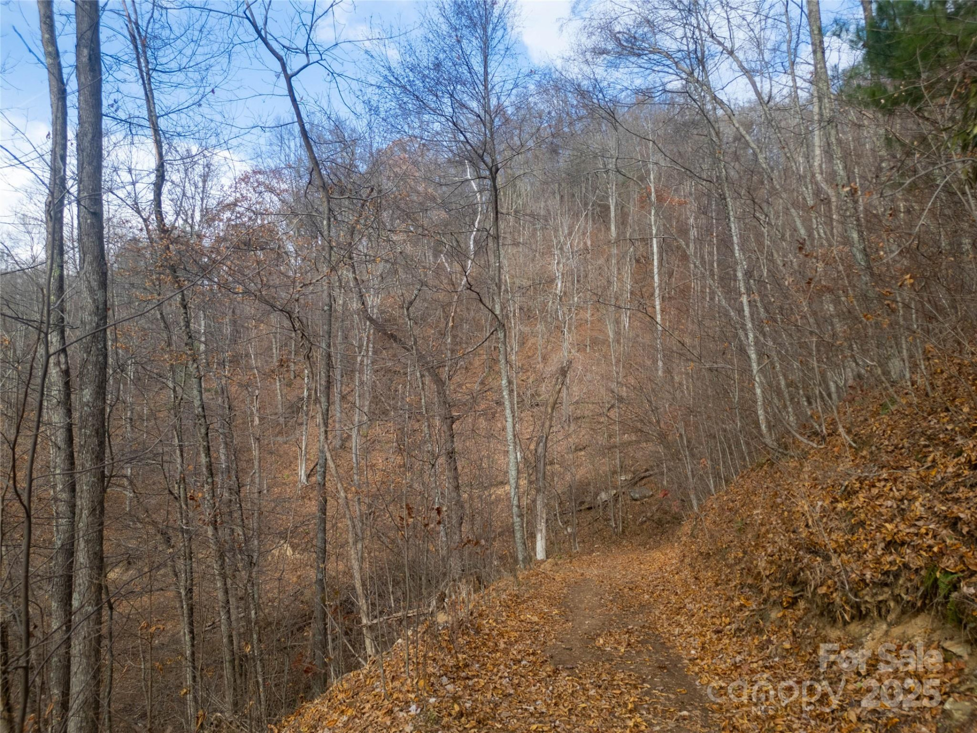 ### Grapevine Road - Photo 18