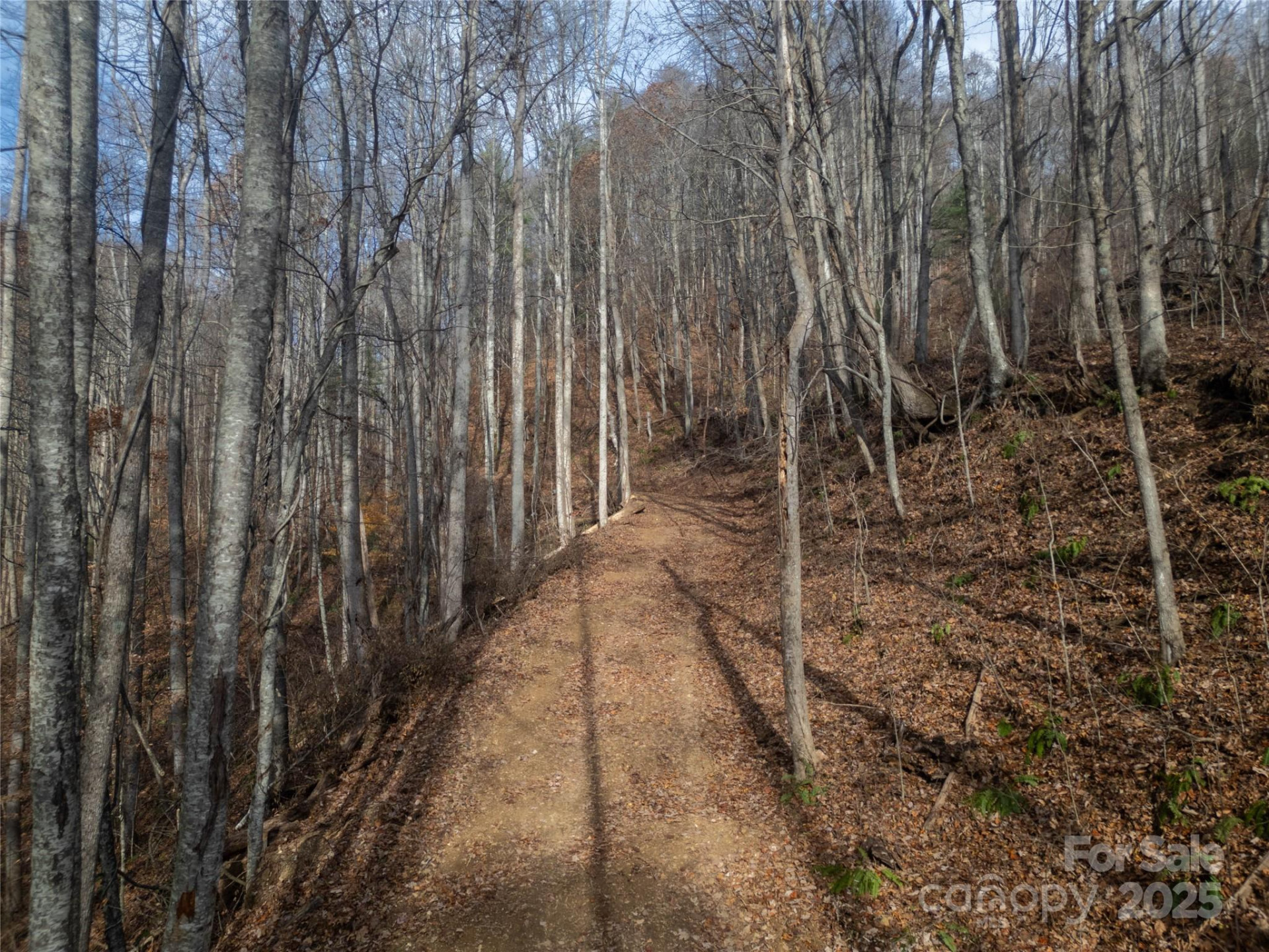 ### Grapevine Road - Photo 19