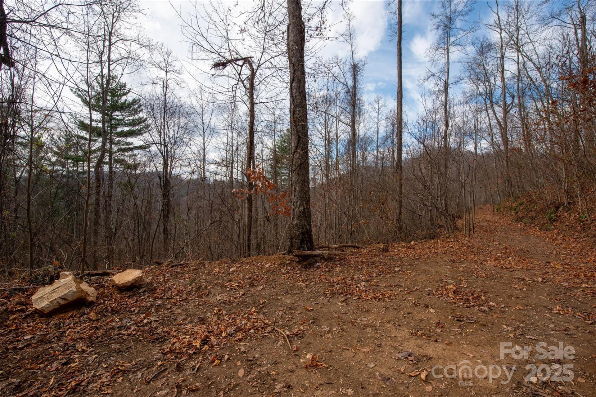 ### Grapevine Road - Photo 20