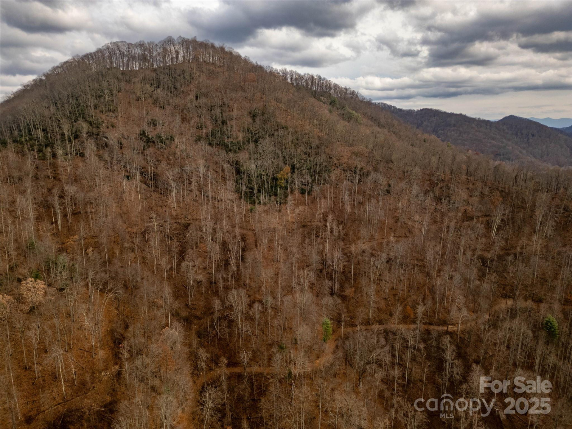 ### Grapevine Road - Photo 3