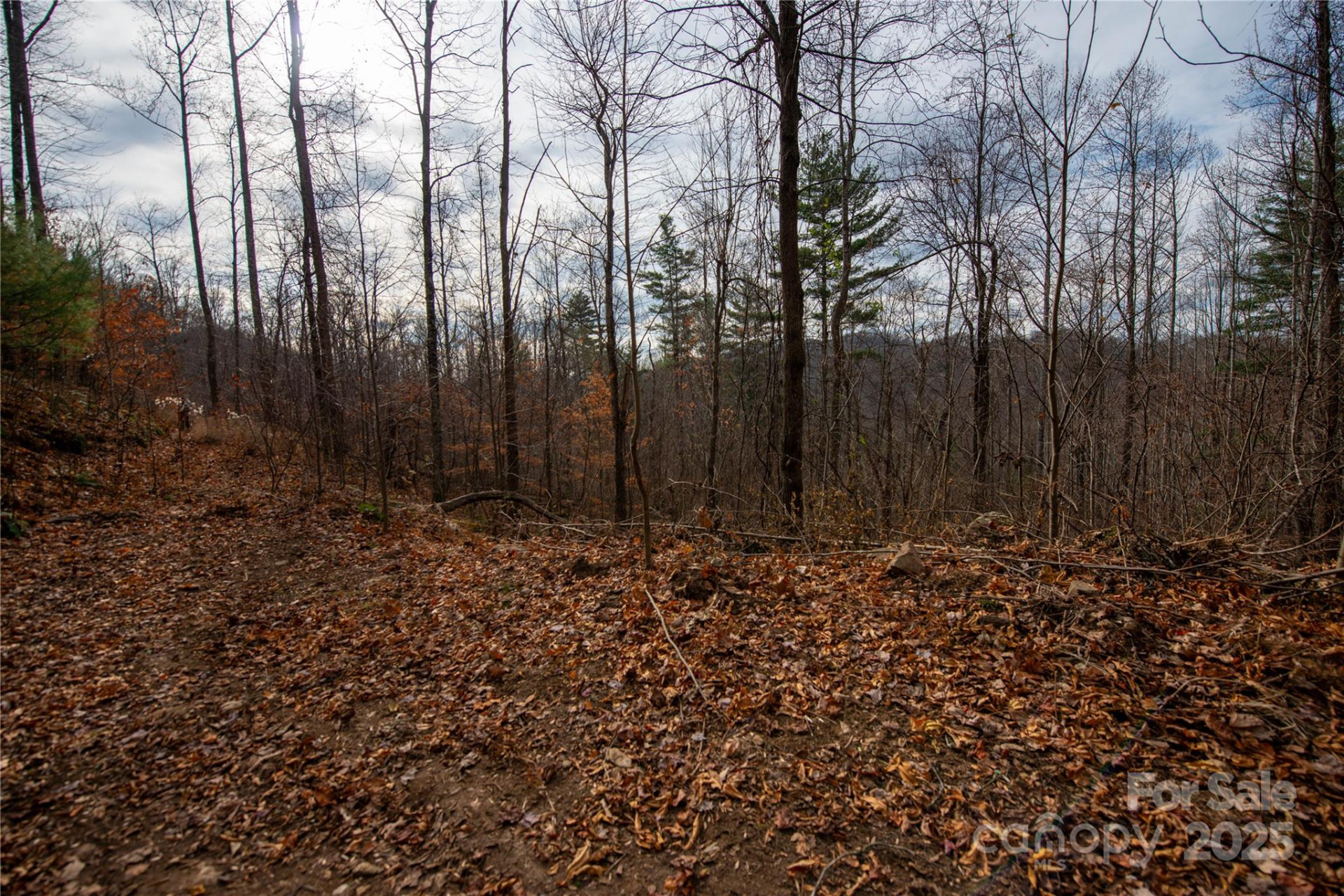 ### Grapevine Road - Photo 21