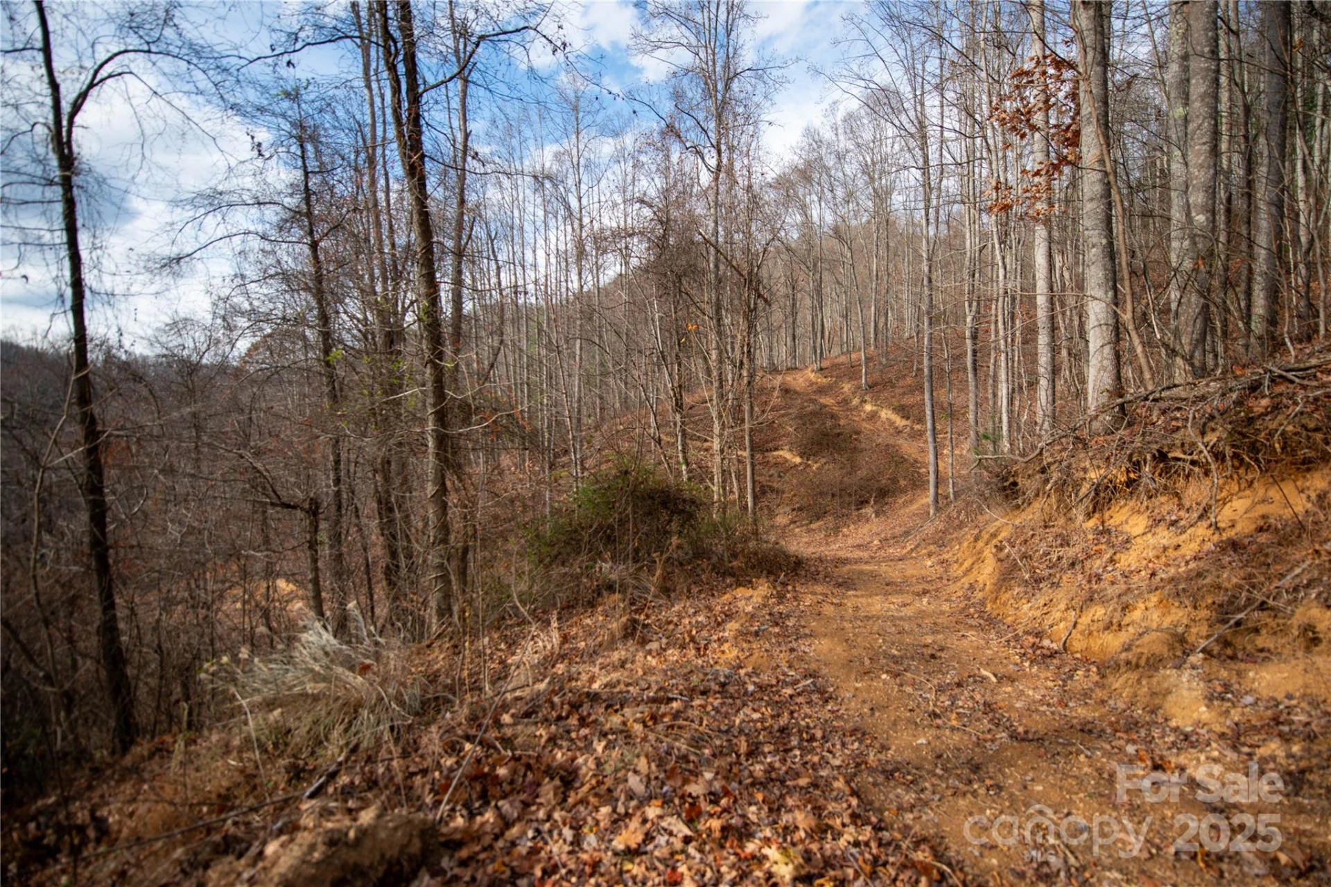 ### Grapevine Road - Photo 22