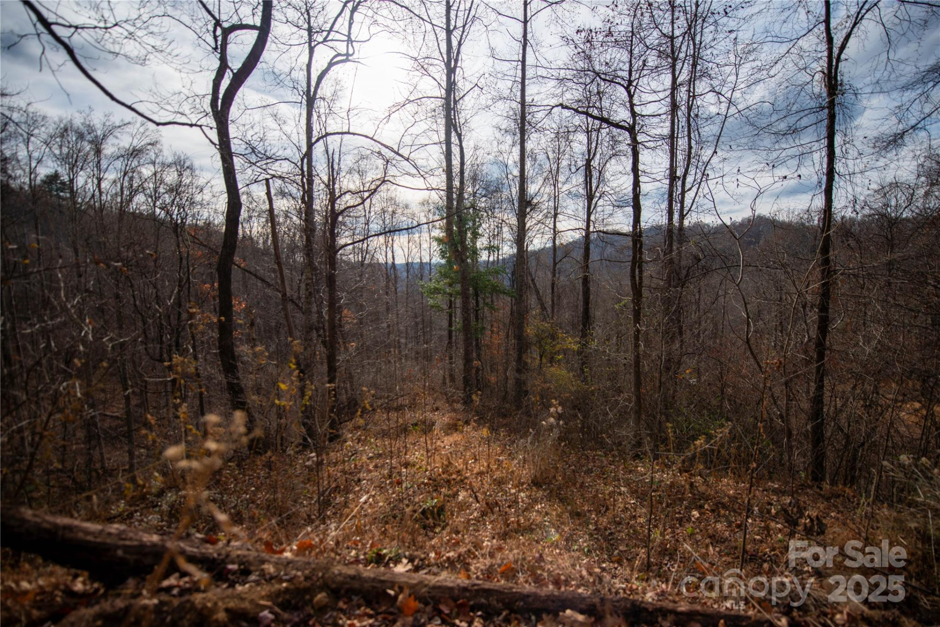 ### Grapevine Road - Photo 23