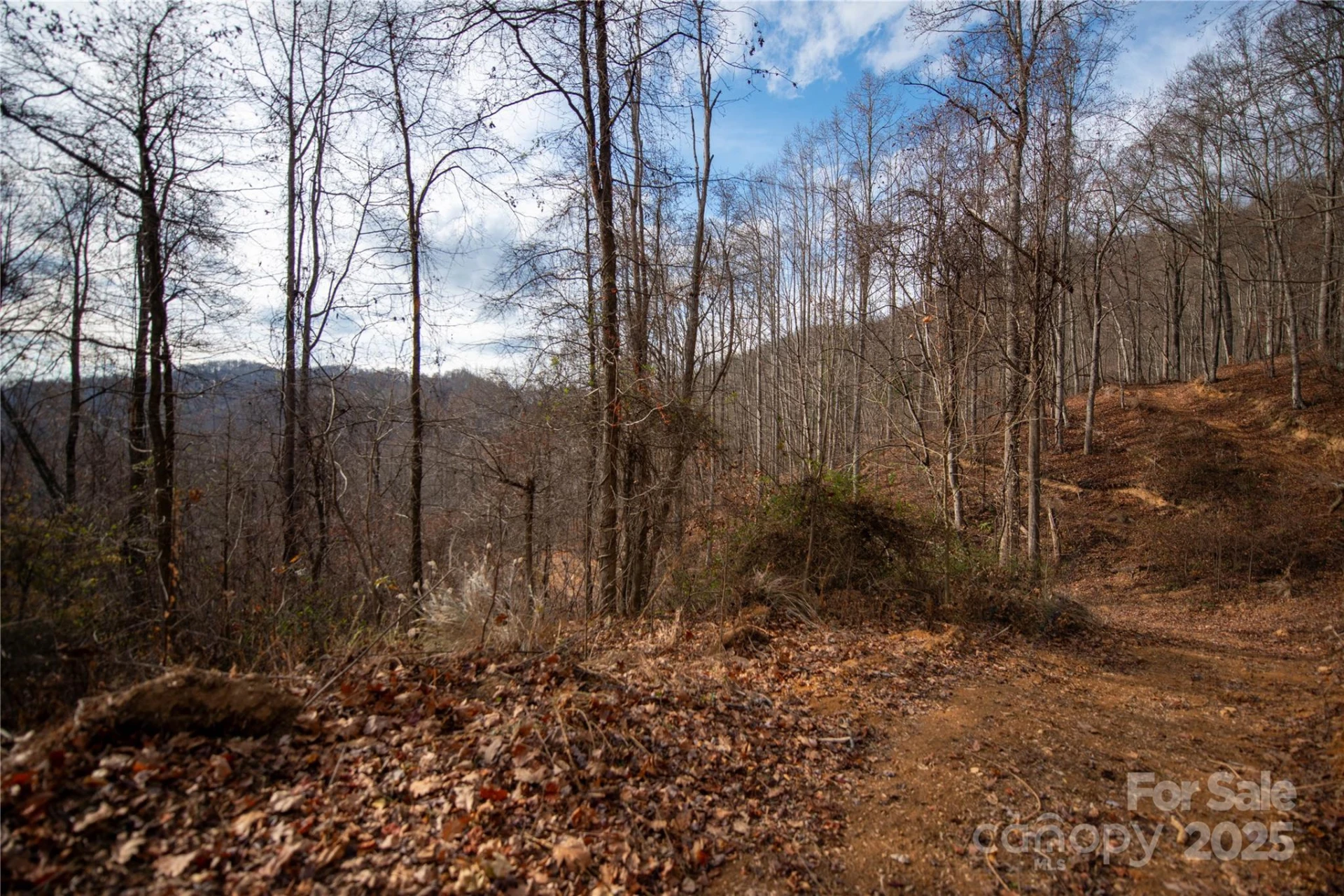 ### Grapevine Road - Photo 24