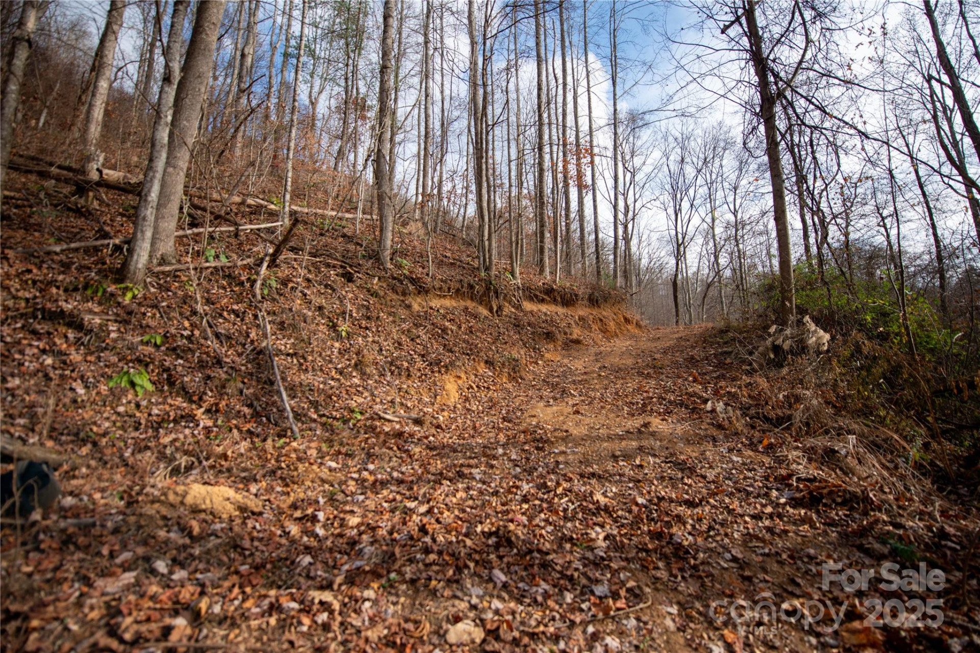 ### Grapevine Road - Photo 25