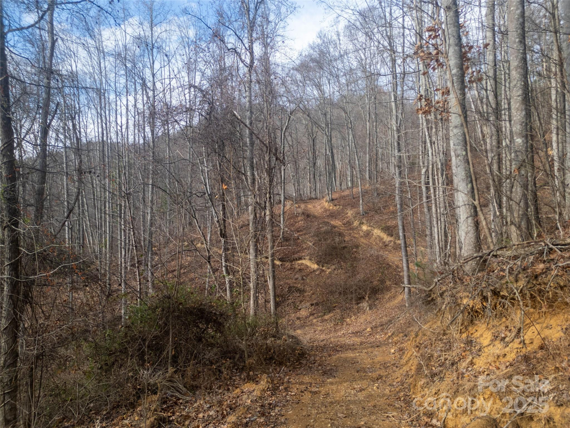 ### Grapevine Road - Photo 27