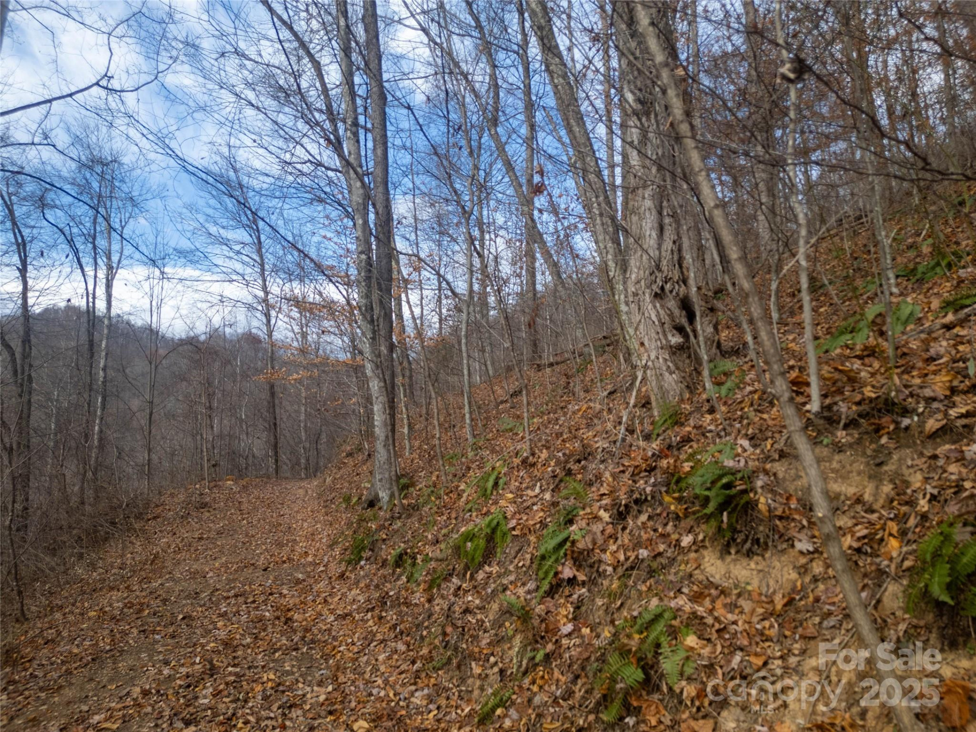 ### Grapevine Road - Photo 7