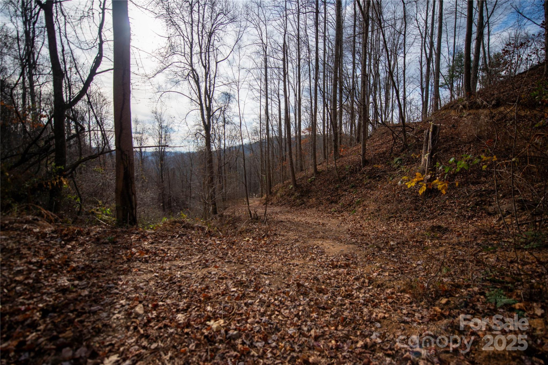 ### Grapevine Road - Photo 8