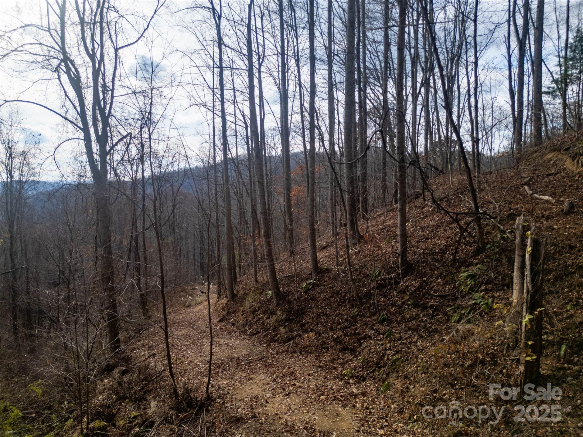 ### Grapevine Road - Photo 9